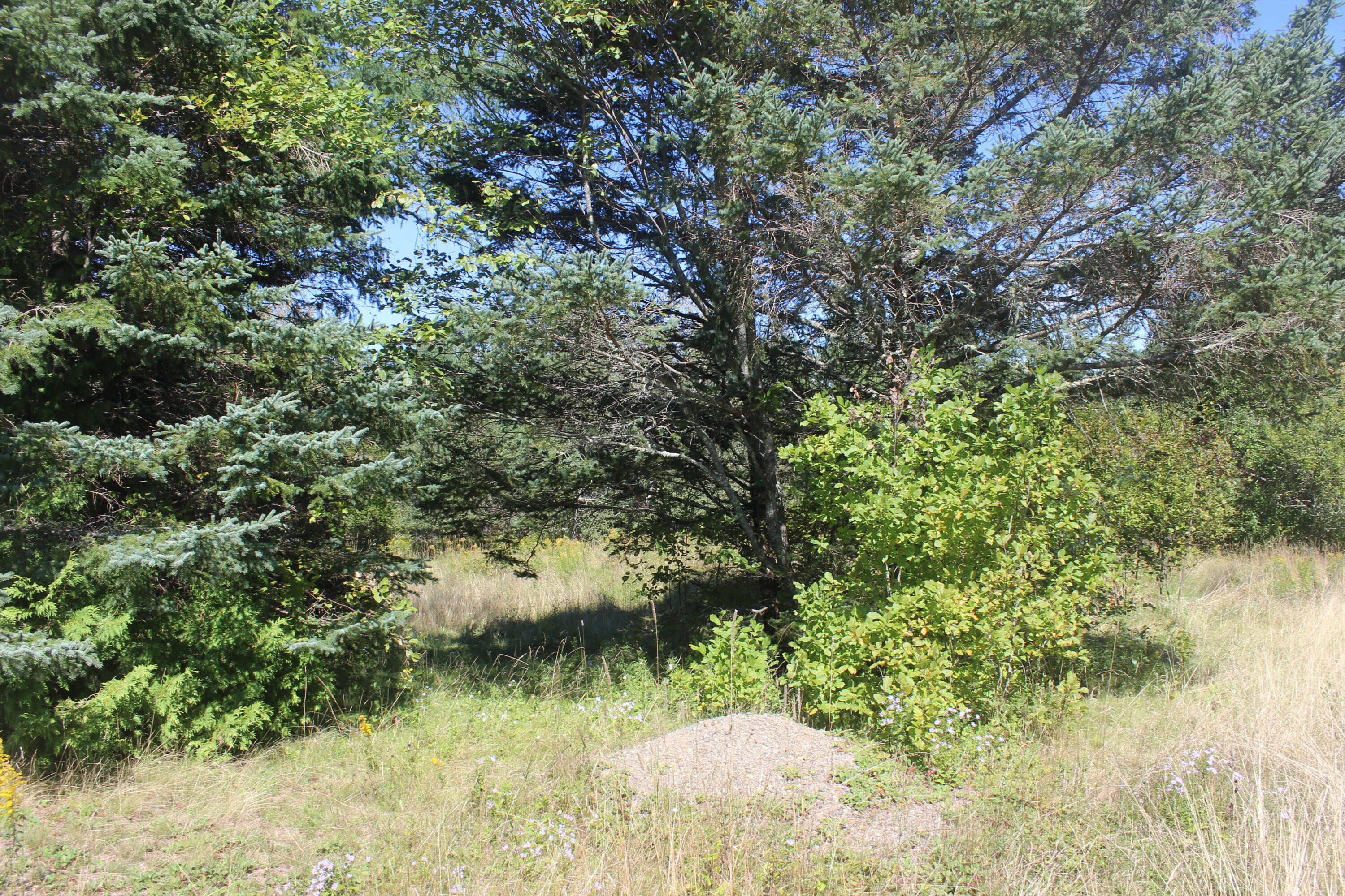 193 Golding Road Property Photo 3