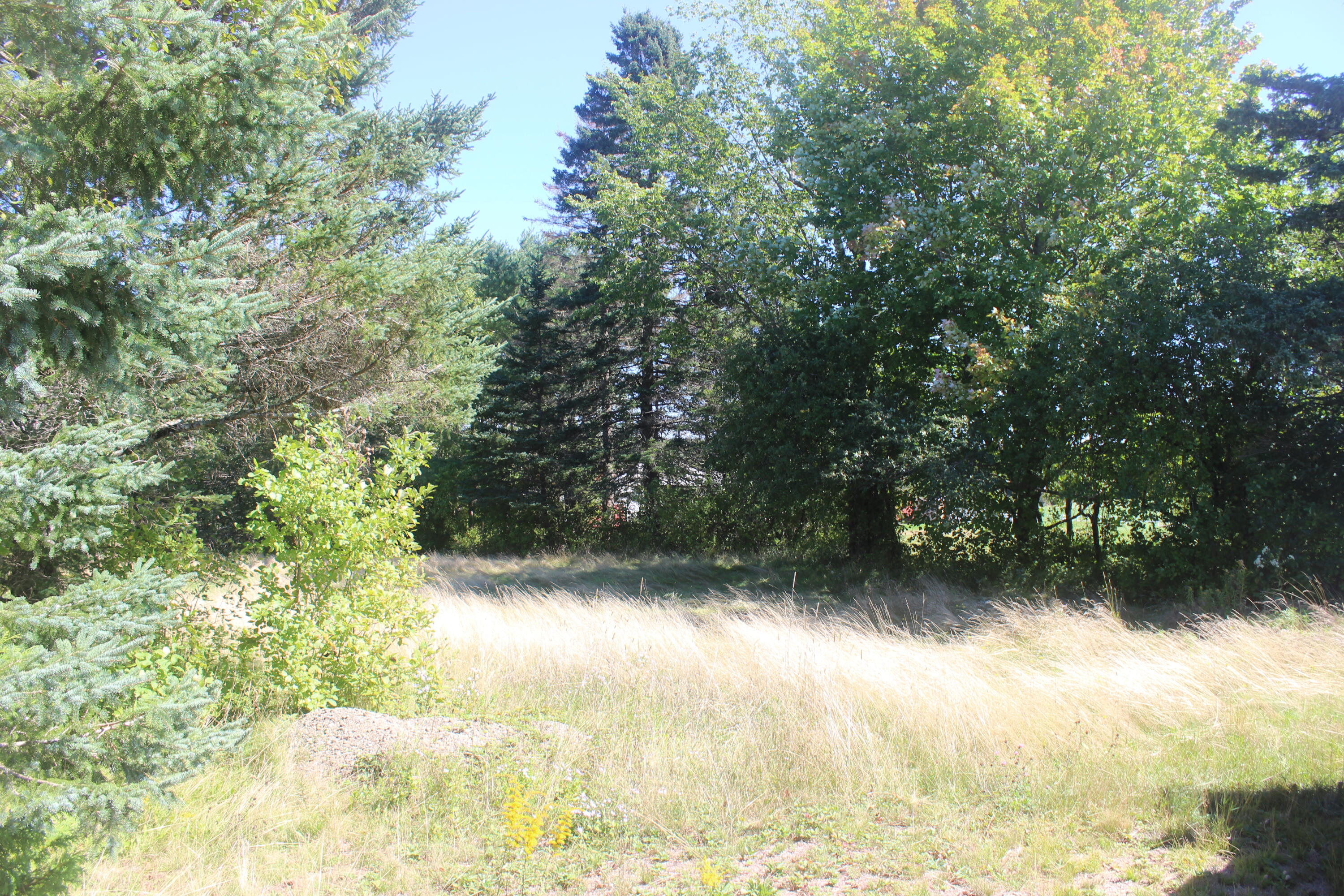 193 Golding Road Property Photo 6