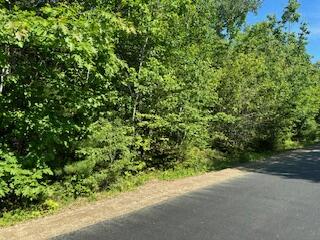 Lot #5 Bonnie Way Property Photo 6