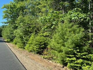 Lot #6 Bonnie Way Property Photo 11
