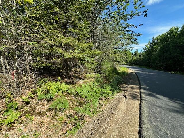 Lot #6 Bonnie Way Property Photo 14