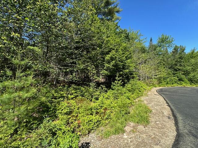 Lot #6 Bonnie Way Property Photo 17