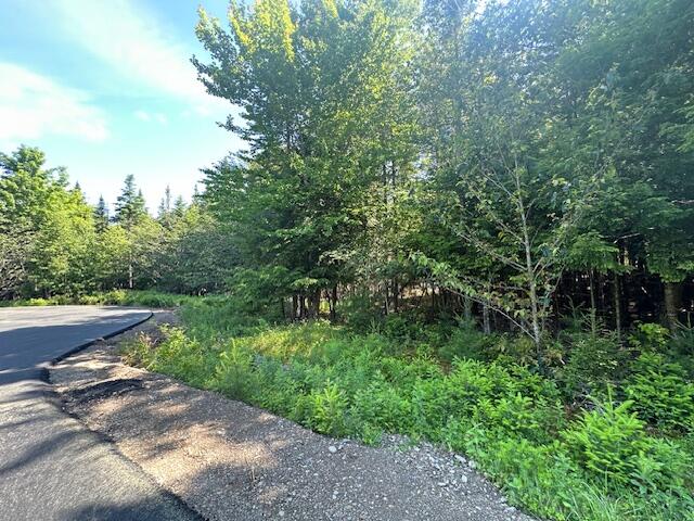 Lot #6 Bonnie Way Property Photo 31