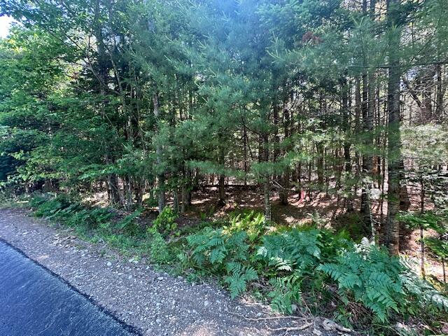 Lot #6 Bonnie Way Property Photo 35