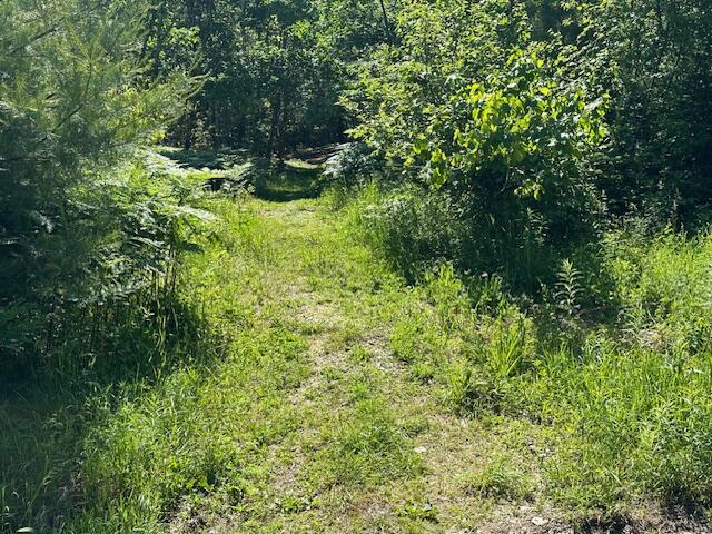 Lot #6 Bonnie Way Property Photo 40