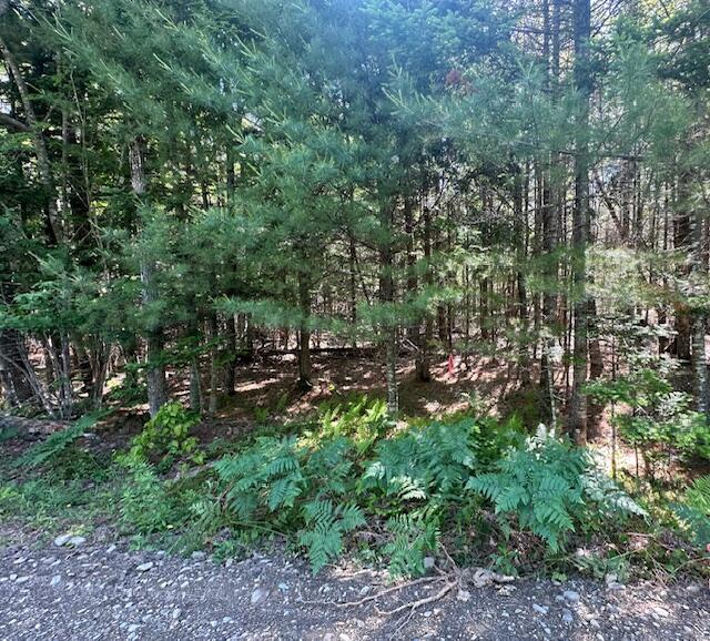 Lot #6 Bonnie Way Property Photo 48