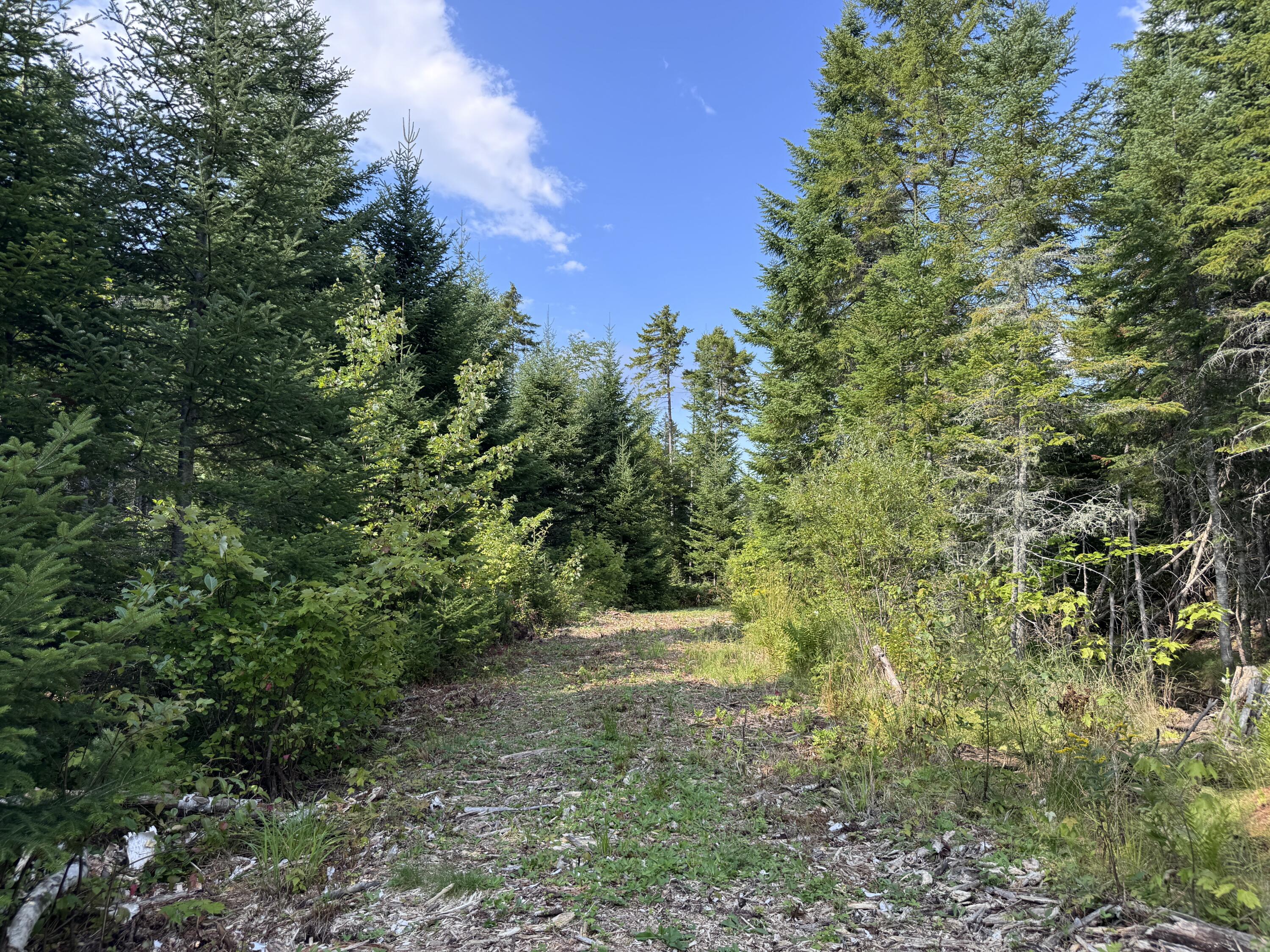 Map 4 Lot 25-a Property Photo 8