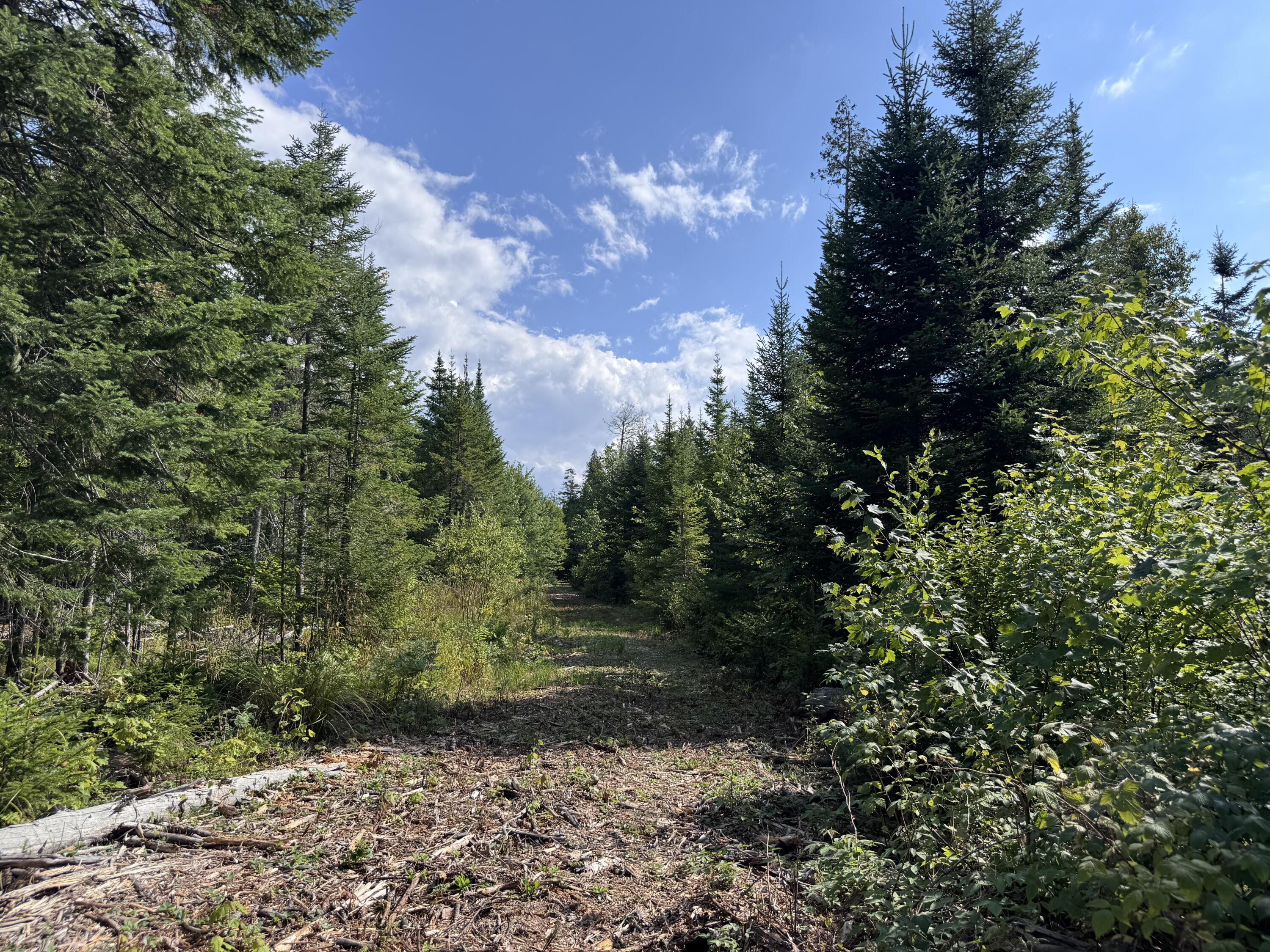 Map 4 Lot 25-a Property Photo 9
