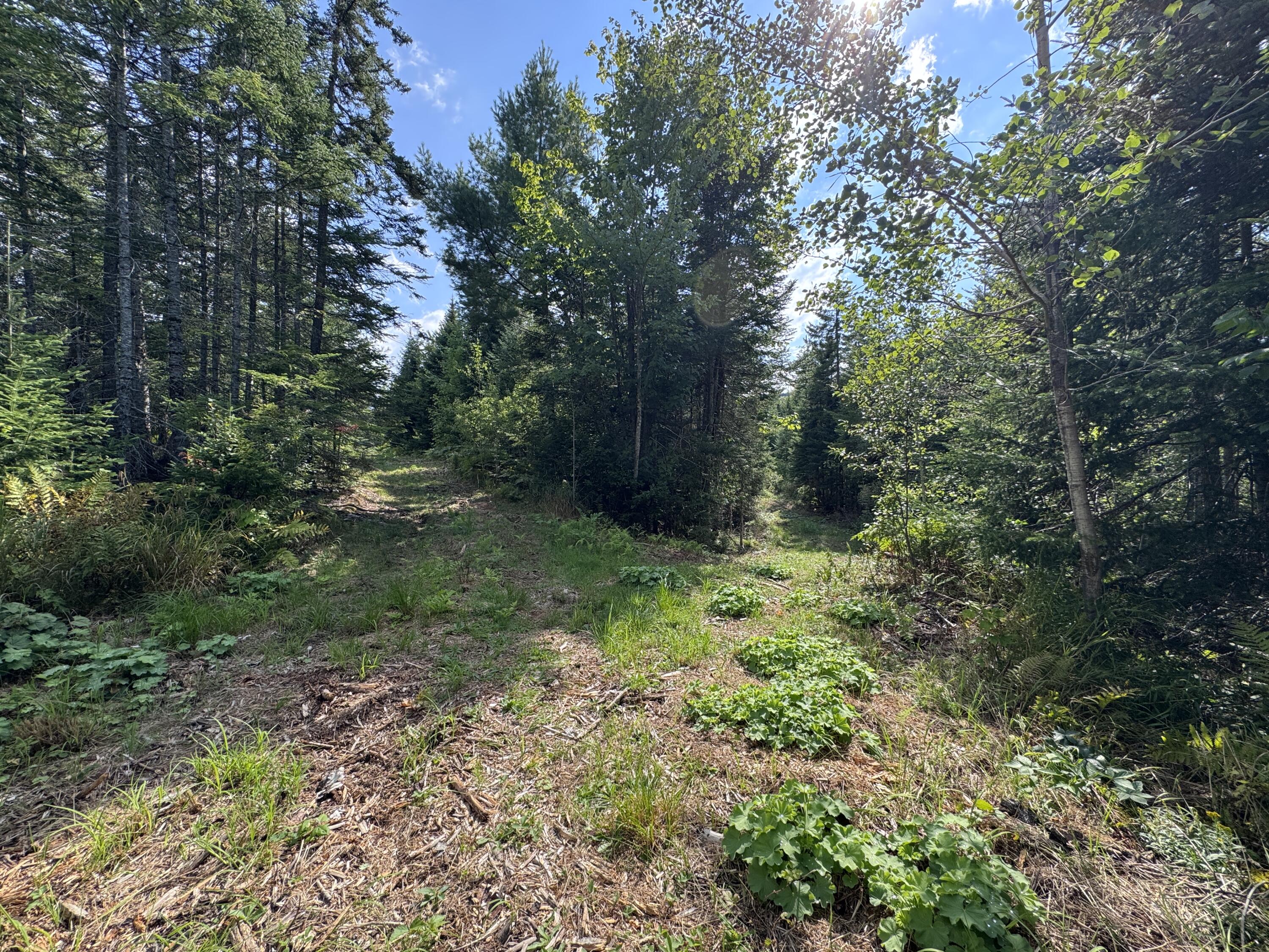 Map 4 Lot 25-a Property Photo 10