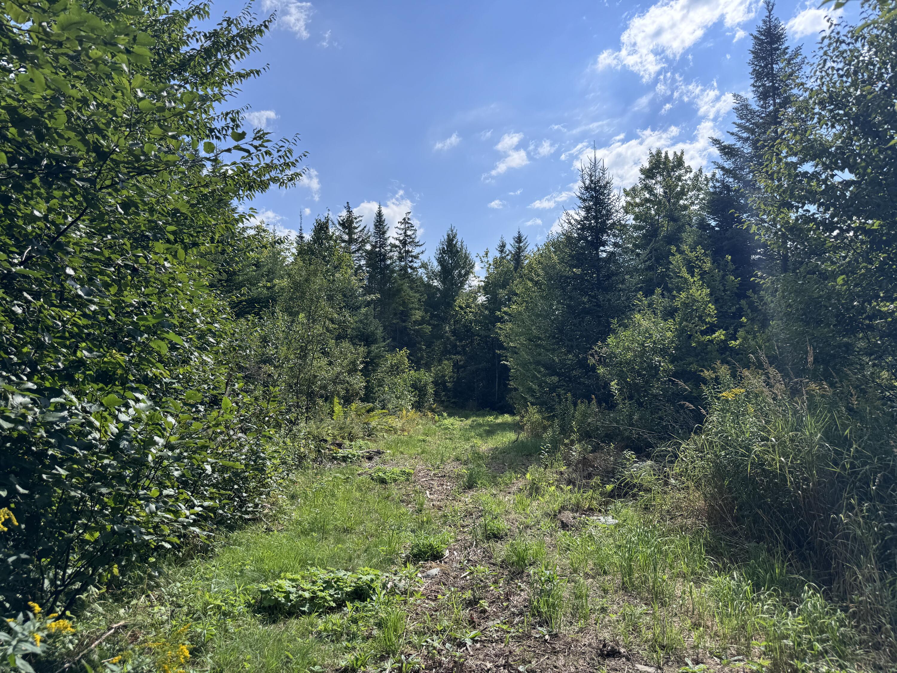 Map 4 Lot 25-a Property Photo 11