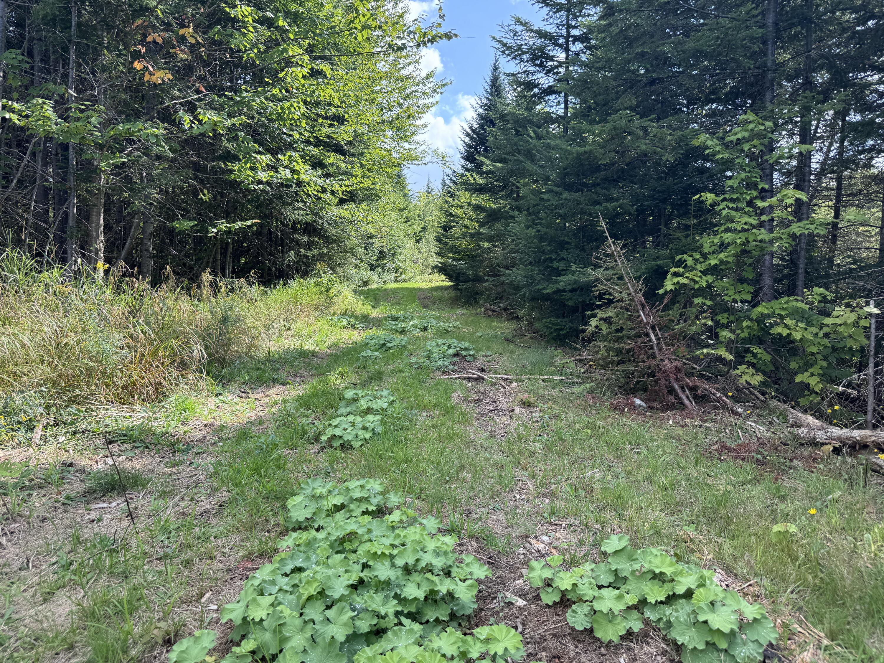 Map 4 Lot 25-a Property Photo 12