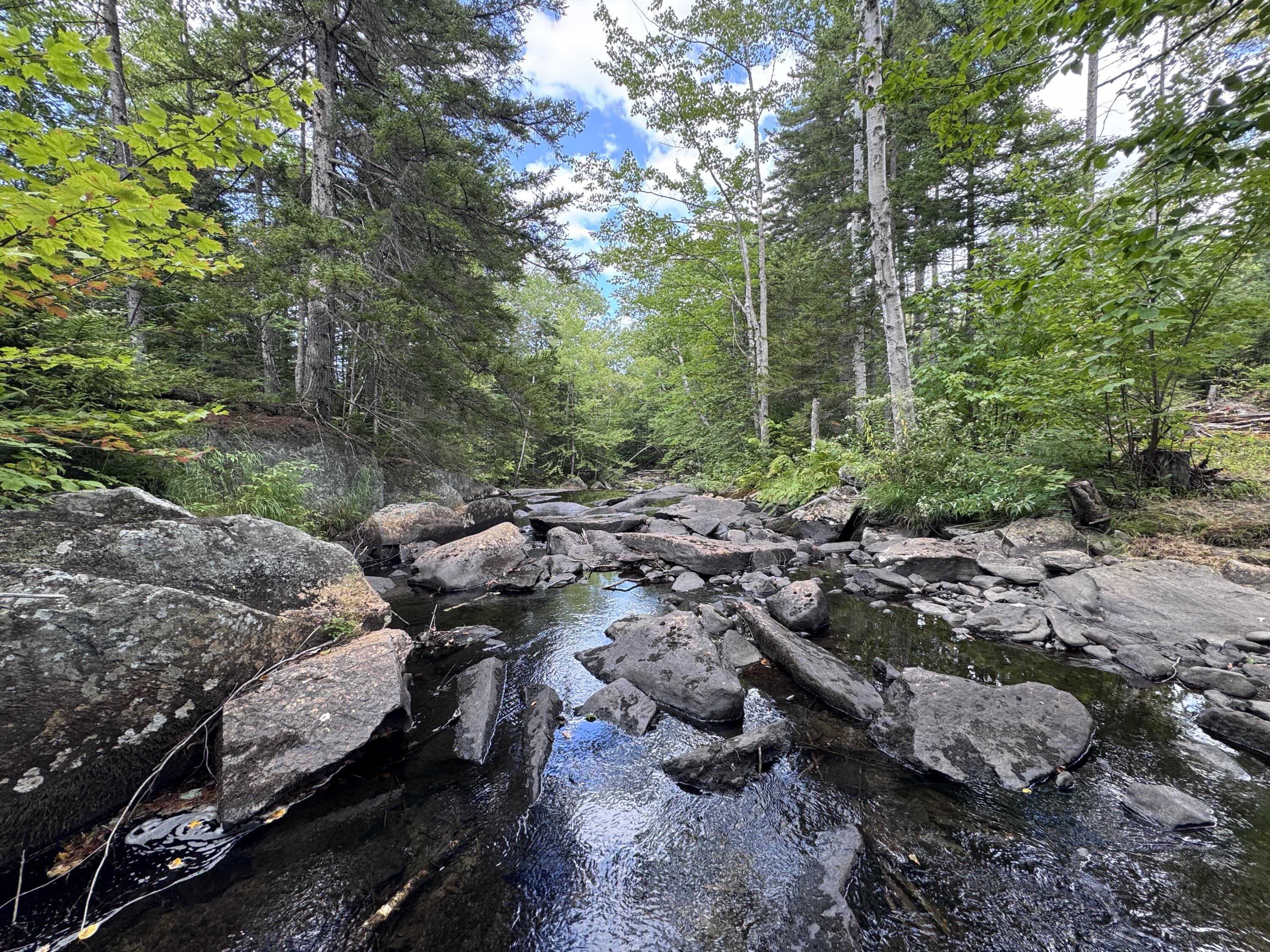Map 4 Lot 25-a Property Photo 15
