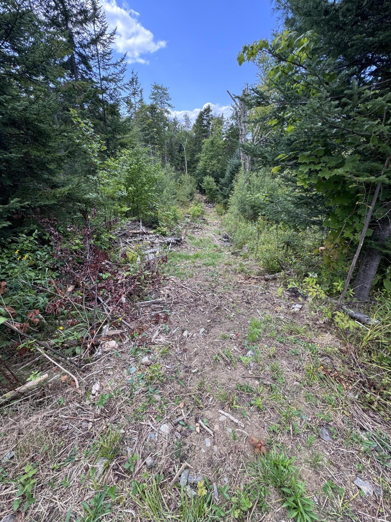 Map 4 Lot 25-a Property Photo 18