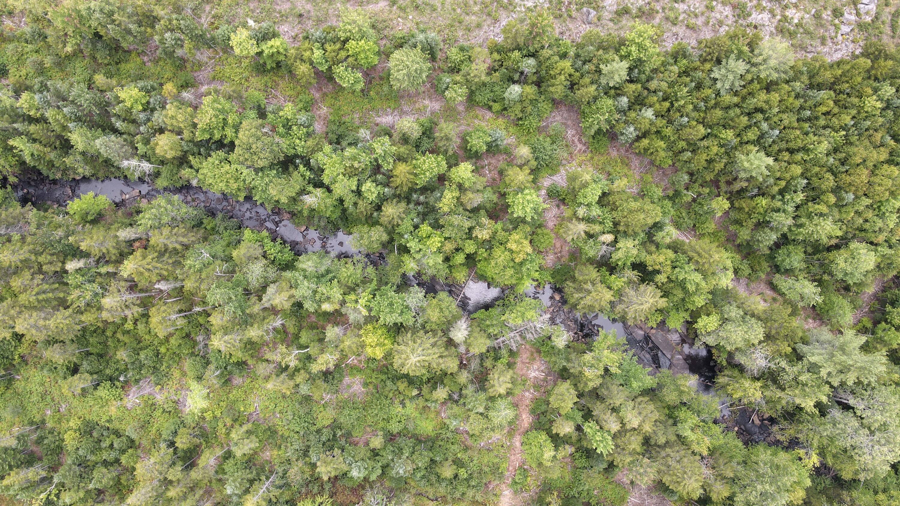 Map 4 Lot 25-a Property Photo 20