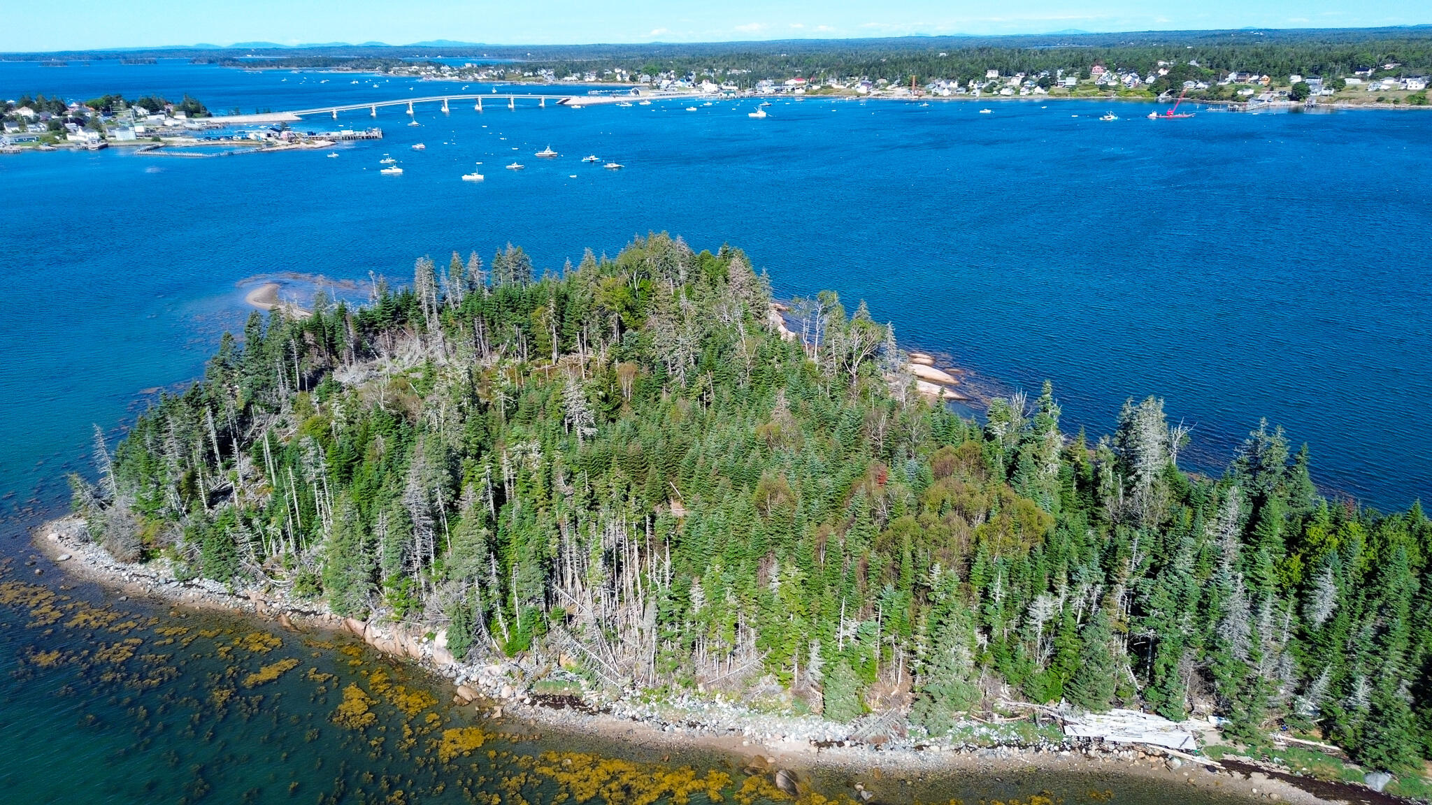 0 French House Island Property Photo 8