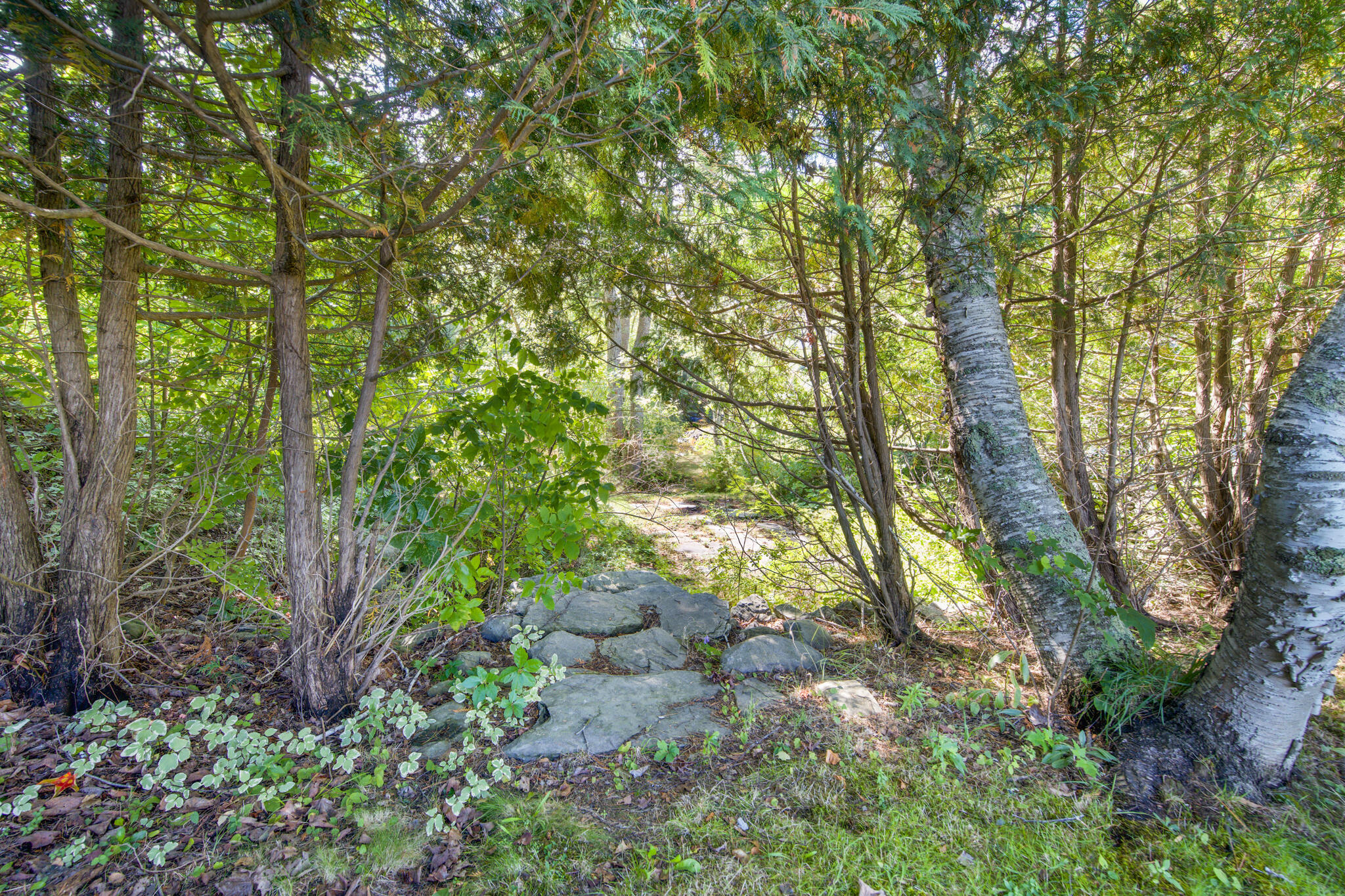 651 College Avenue Property Photo 16