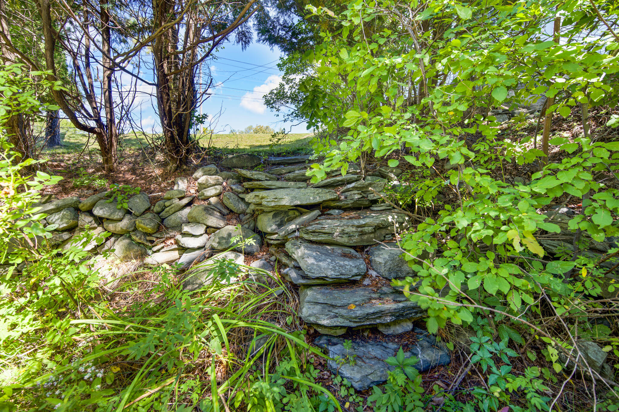 651 College Avenue Property Photo 18