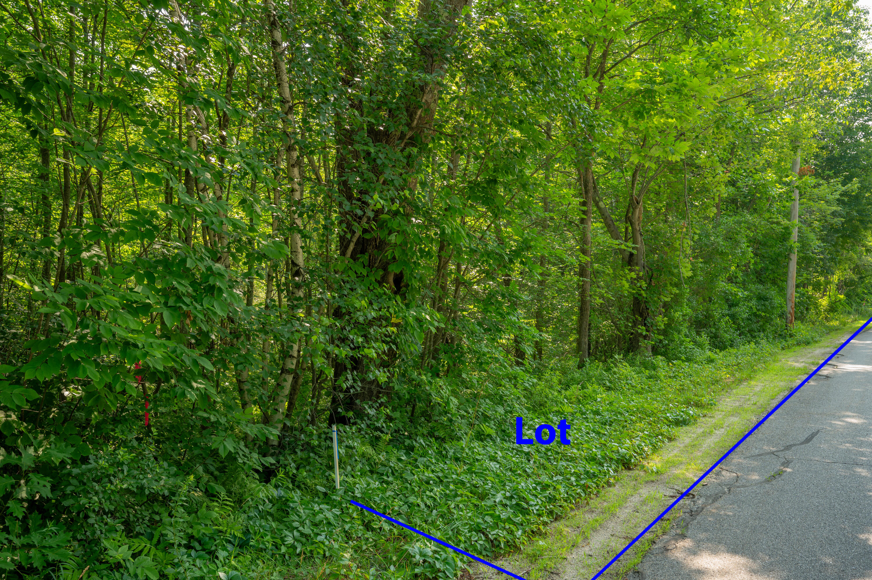 Lot #0 Heath Road Property Photo 3