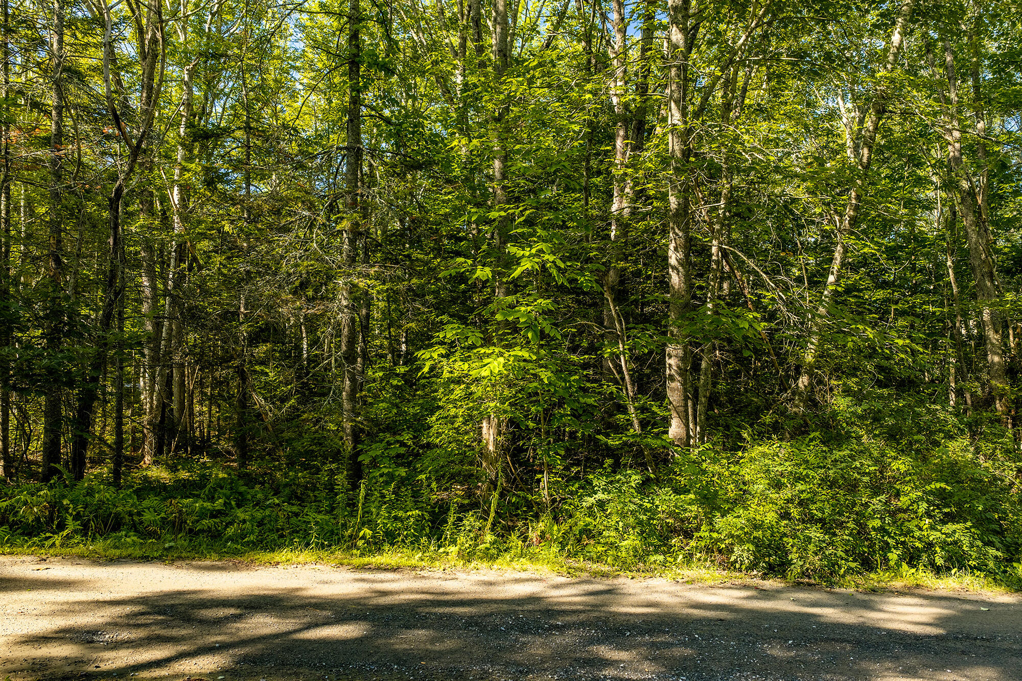 21 Summer Street Property Photo 7