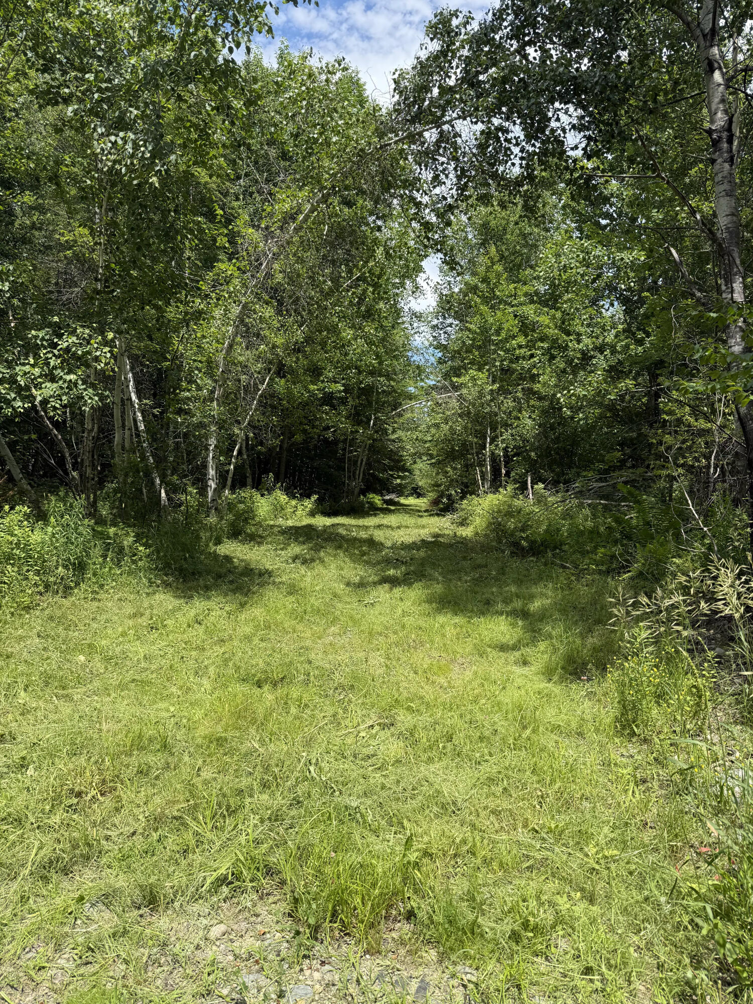 133 Smith Road Property Photo 9