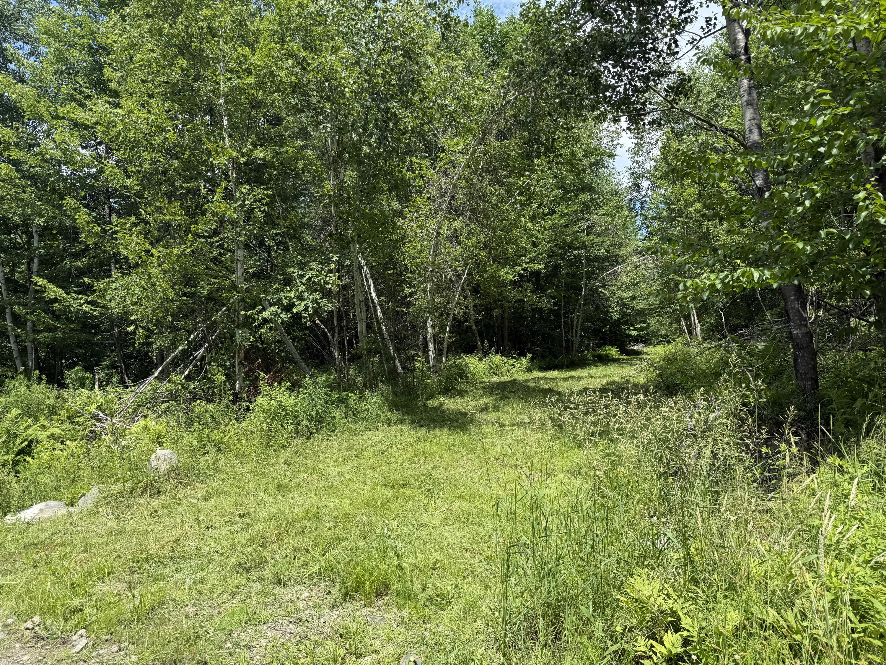 133 Smith Road Property Photo 10