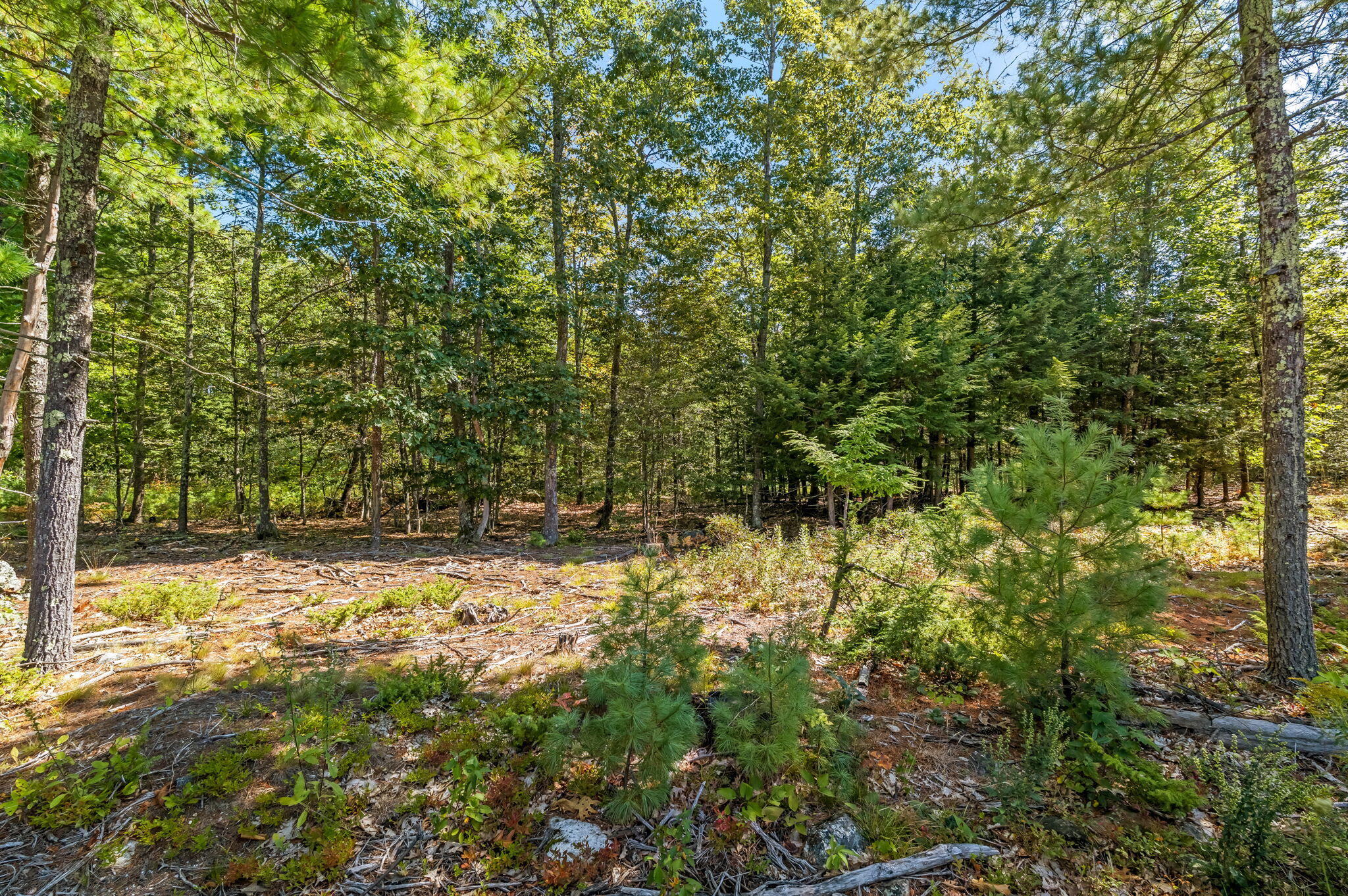 R06 047 Carding Machine Road Property Photo 5
