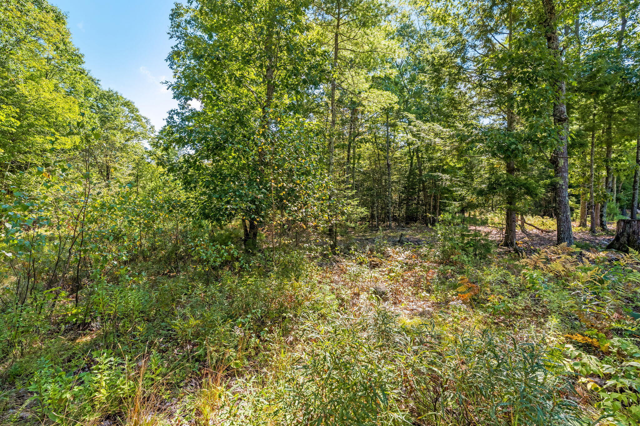 R06 047 Carding Machine Road Property Photo 7