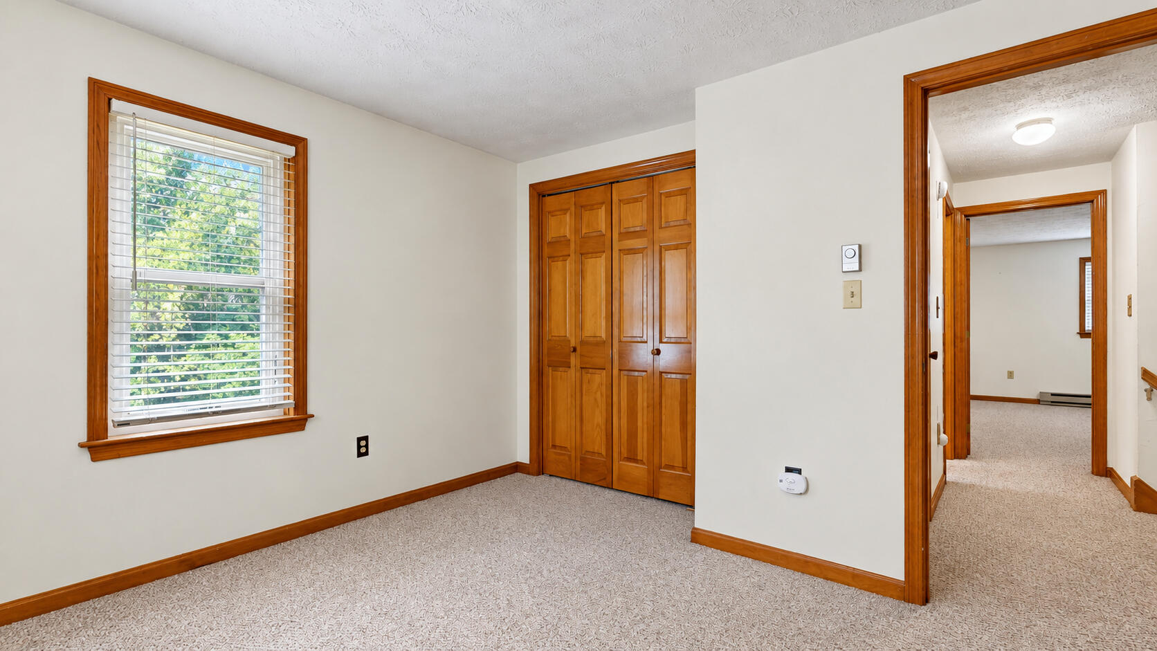 5 Iris Drive Property Photo 51