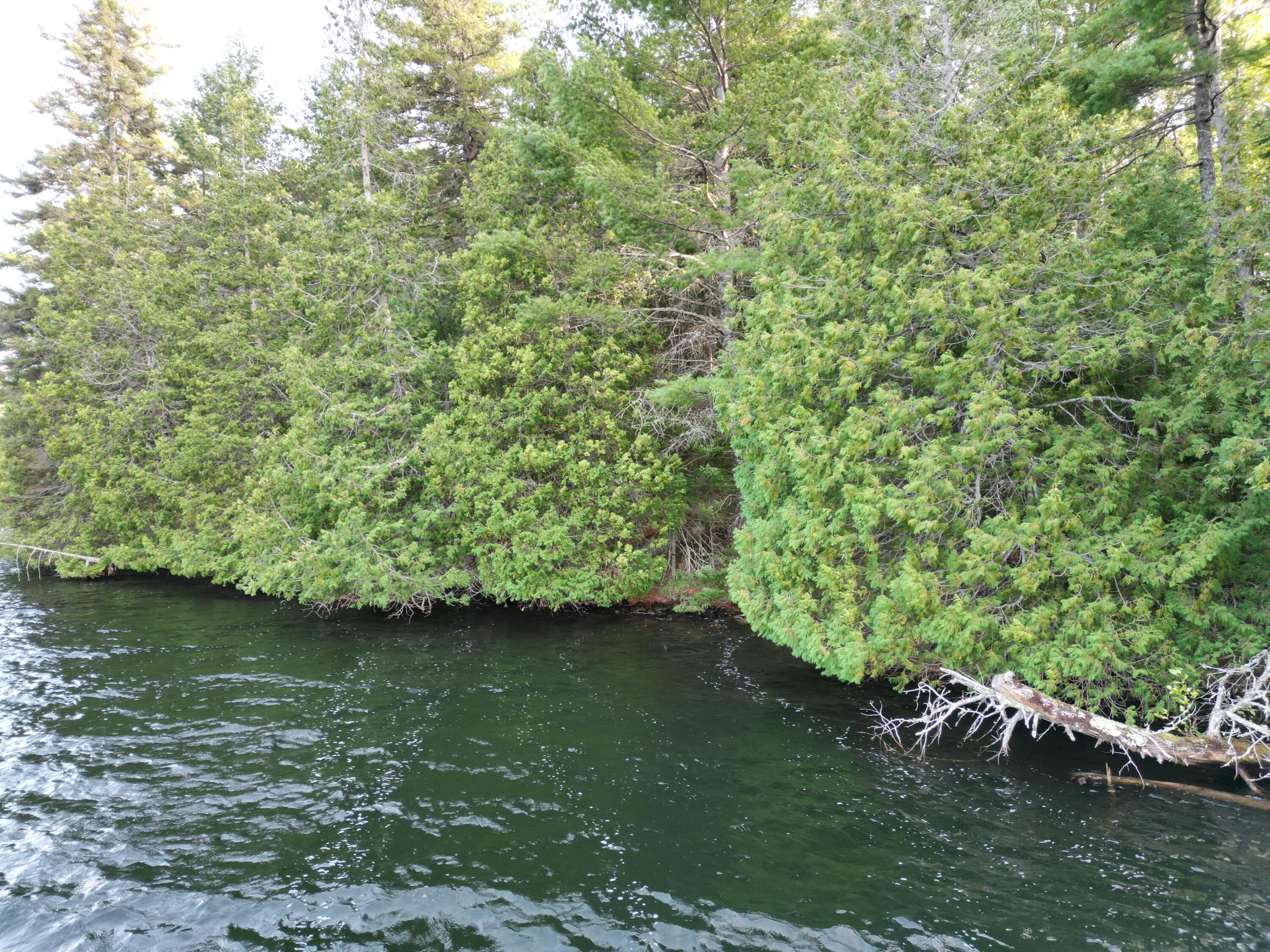 Lot 1 Off North Shore Road Property Photo 2