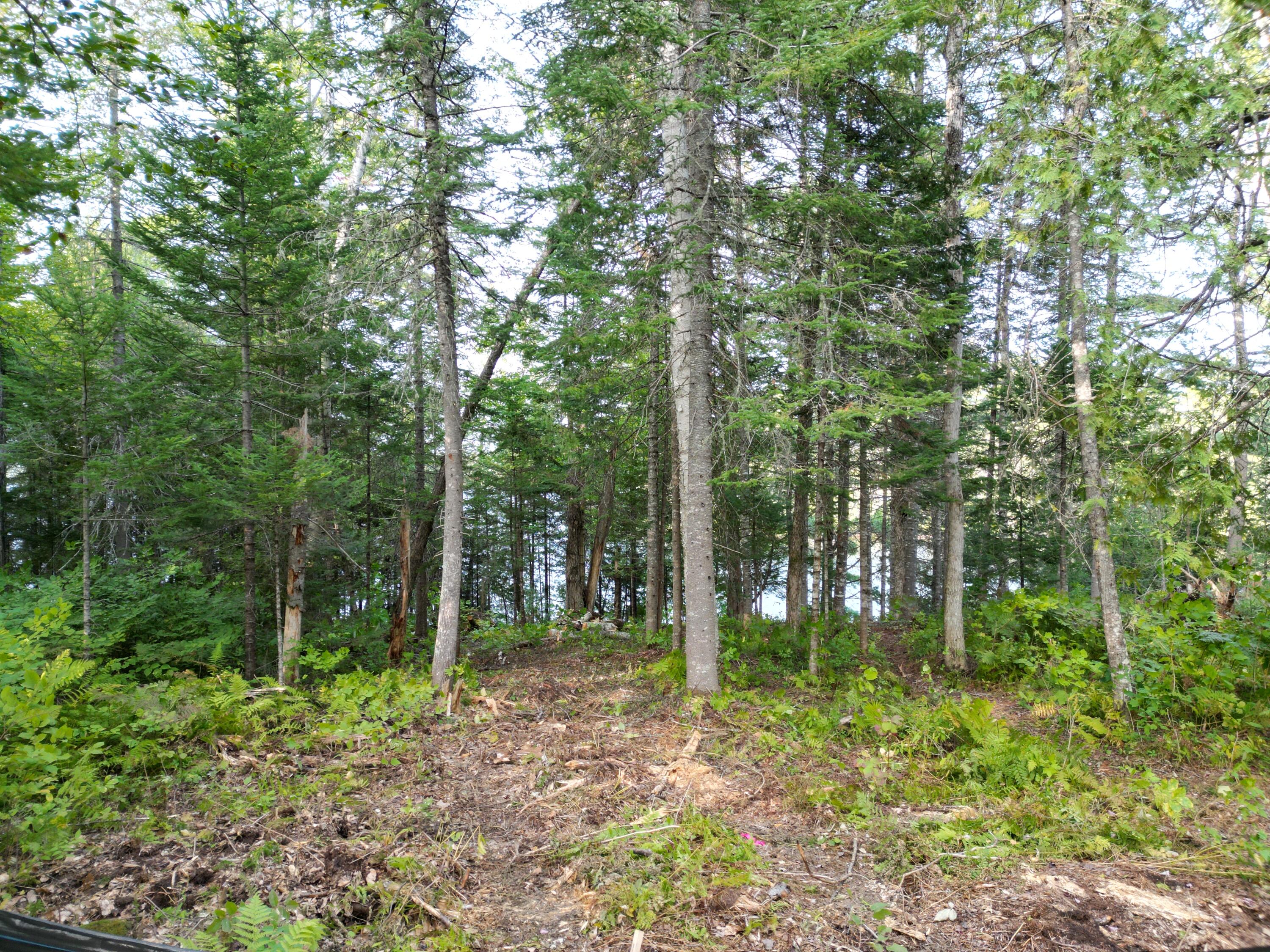 Lot 1 Off North Shore Road Property Photo 8