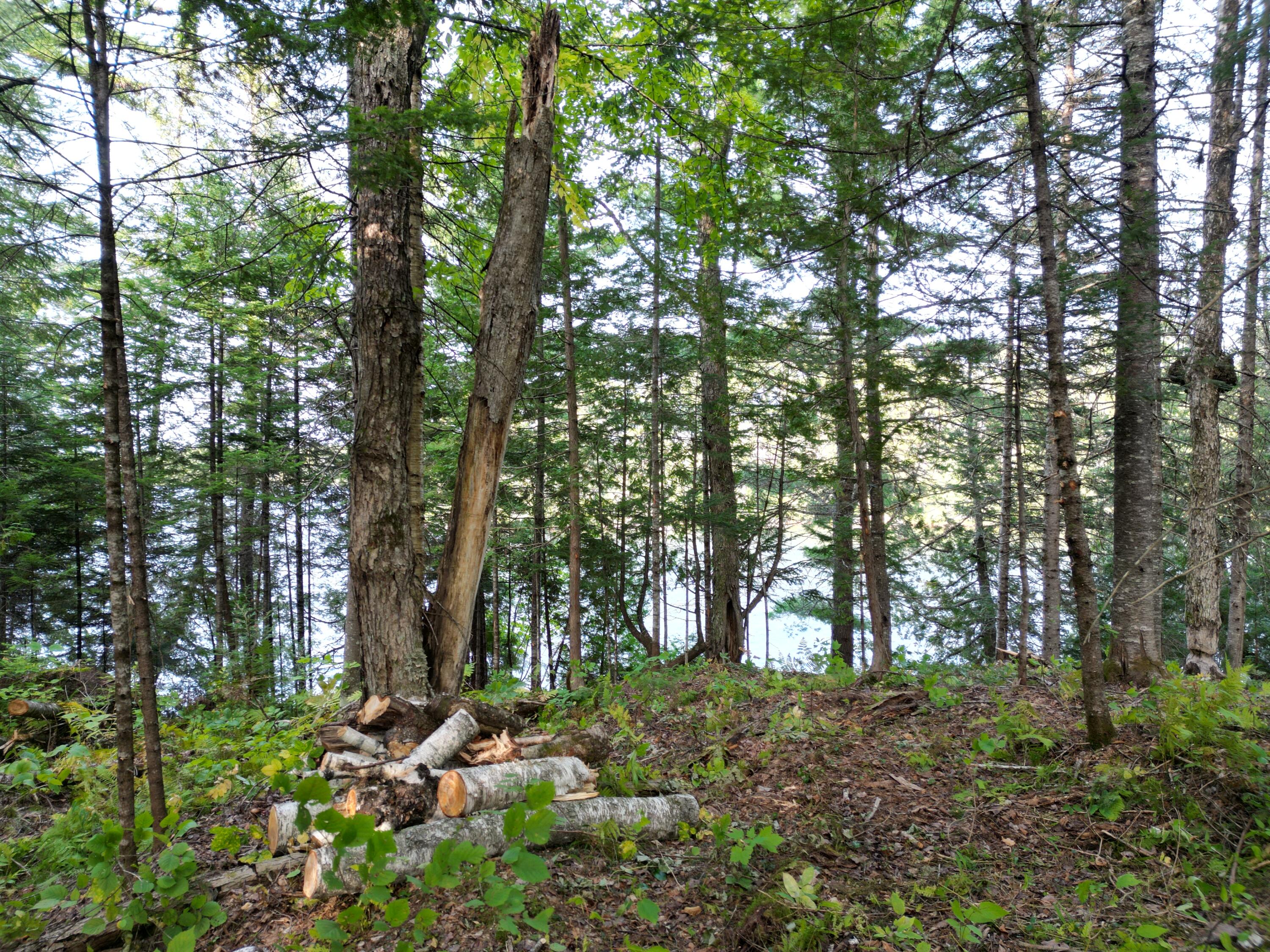 Lot 1 Off North Shore Road Property Photo 9