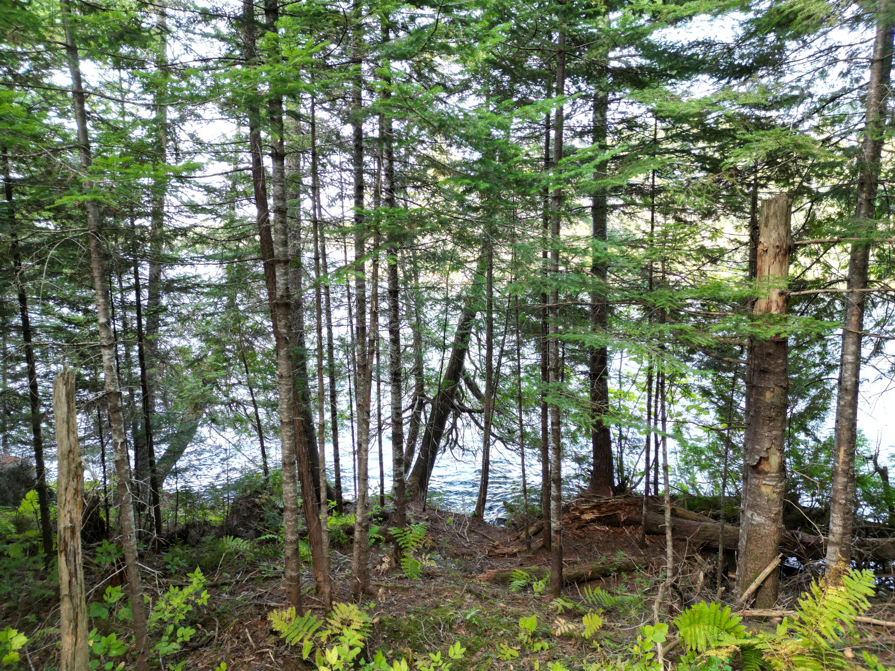 Lot 1 Off North Shore Road Property Photo 10