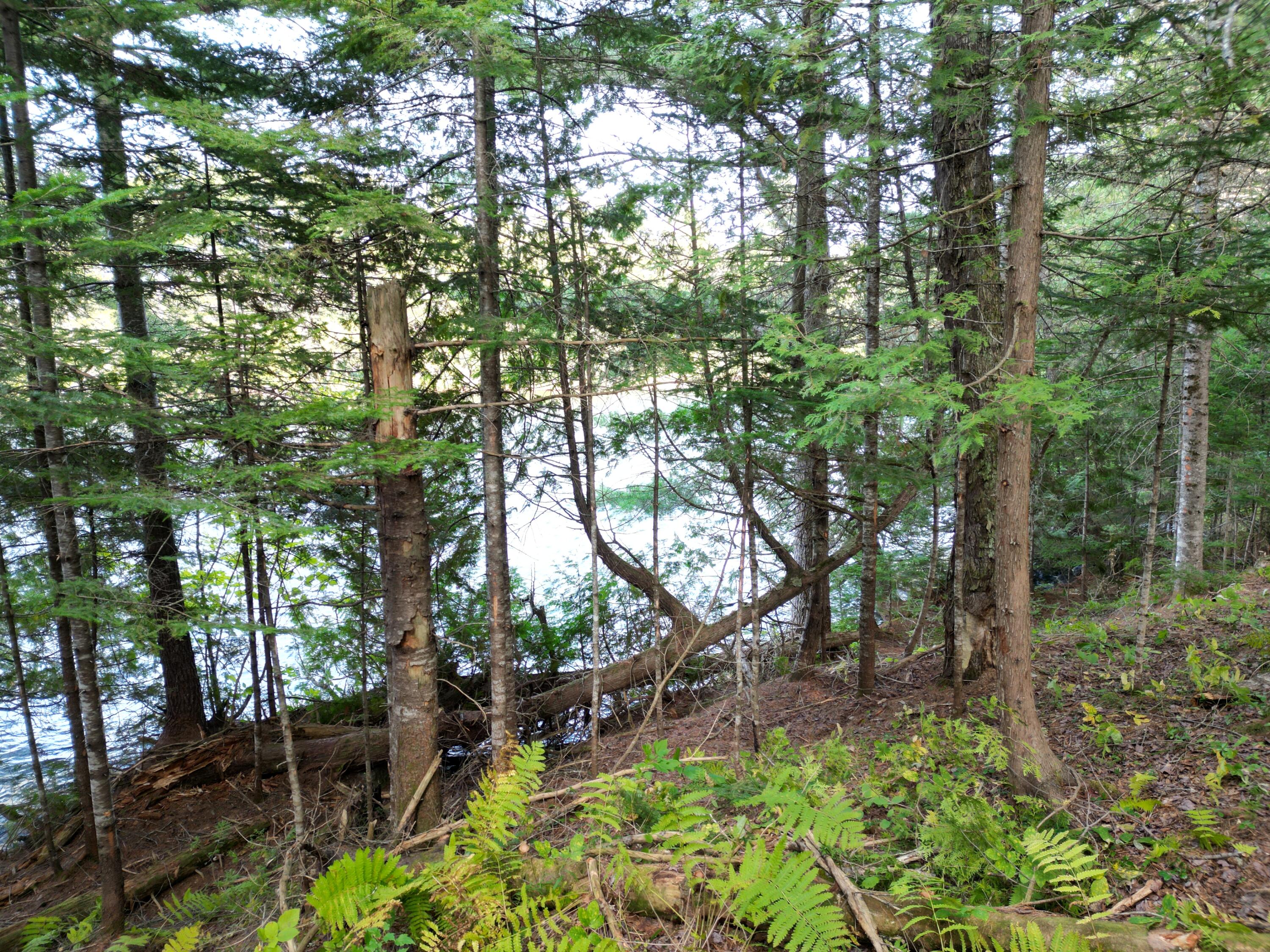 Lot 1 Off North Shore Road Property Photo 11