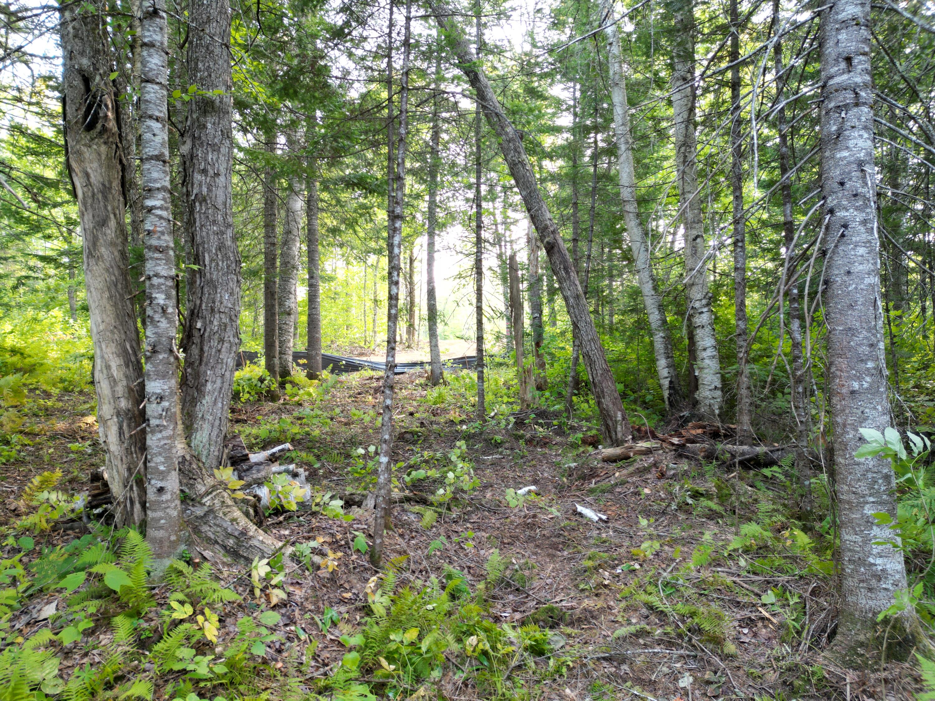 Lot 1 Off North Shore Road Property Photo 12