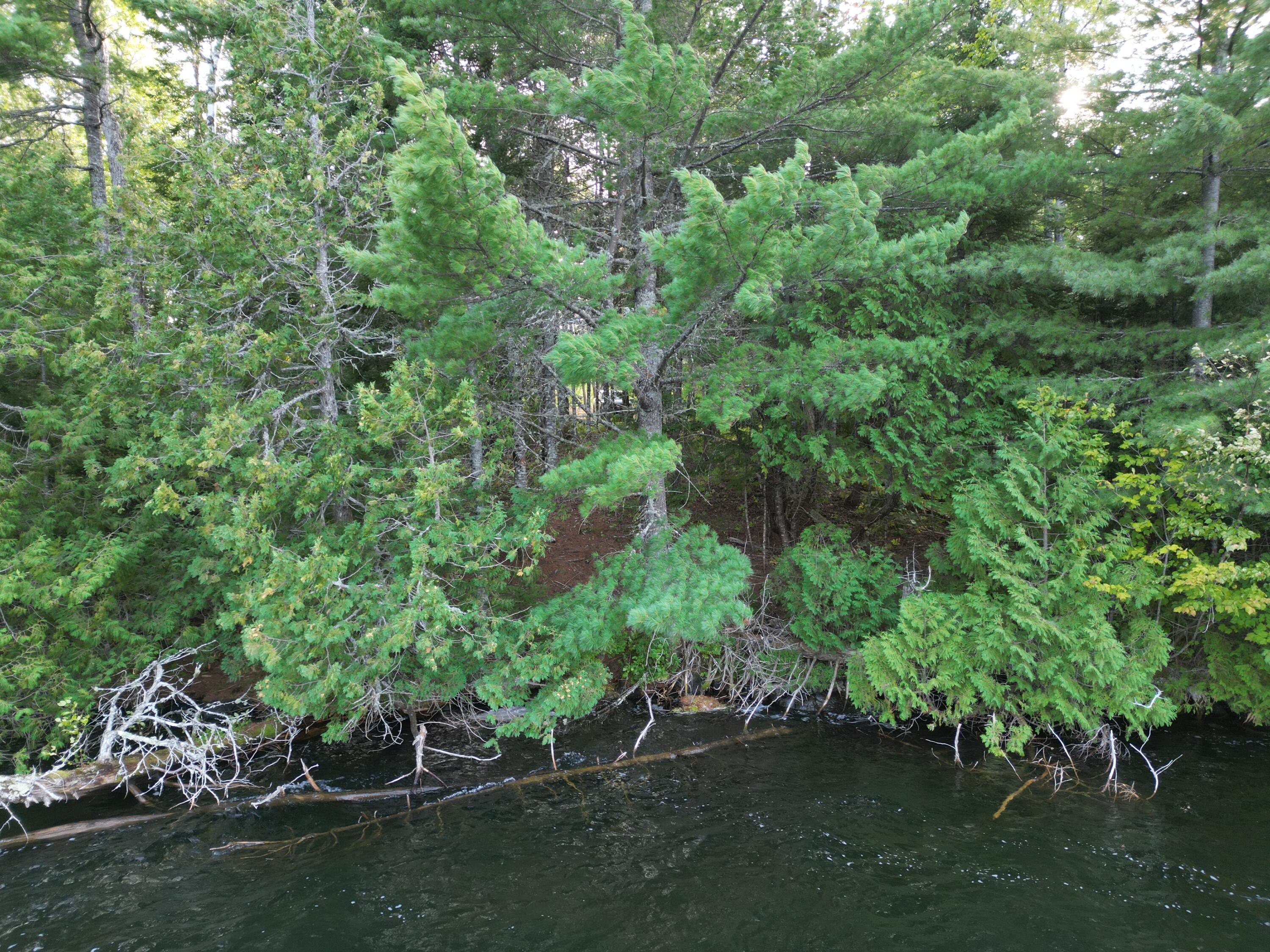 Lot 1 Off North Shore Road Property Photo 18
