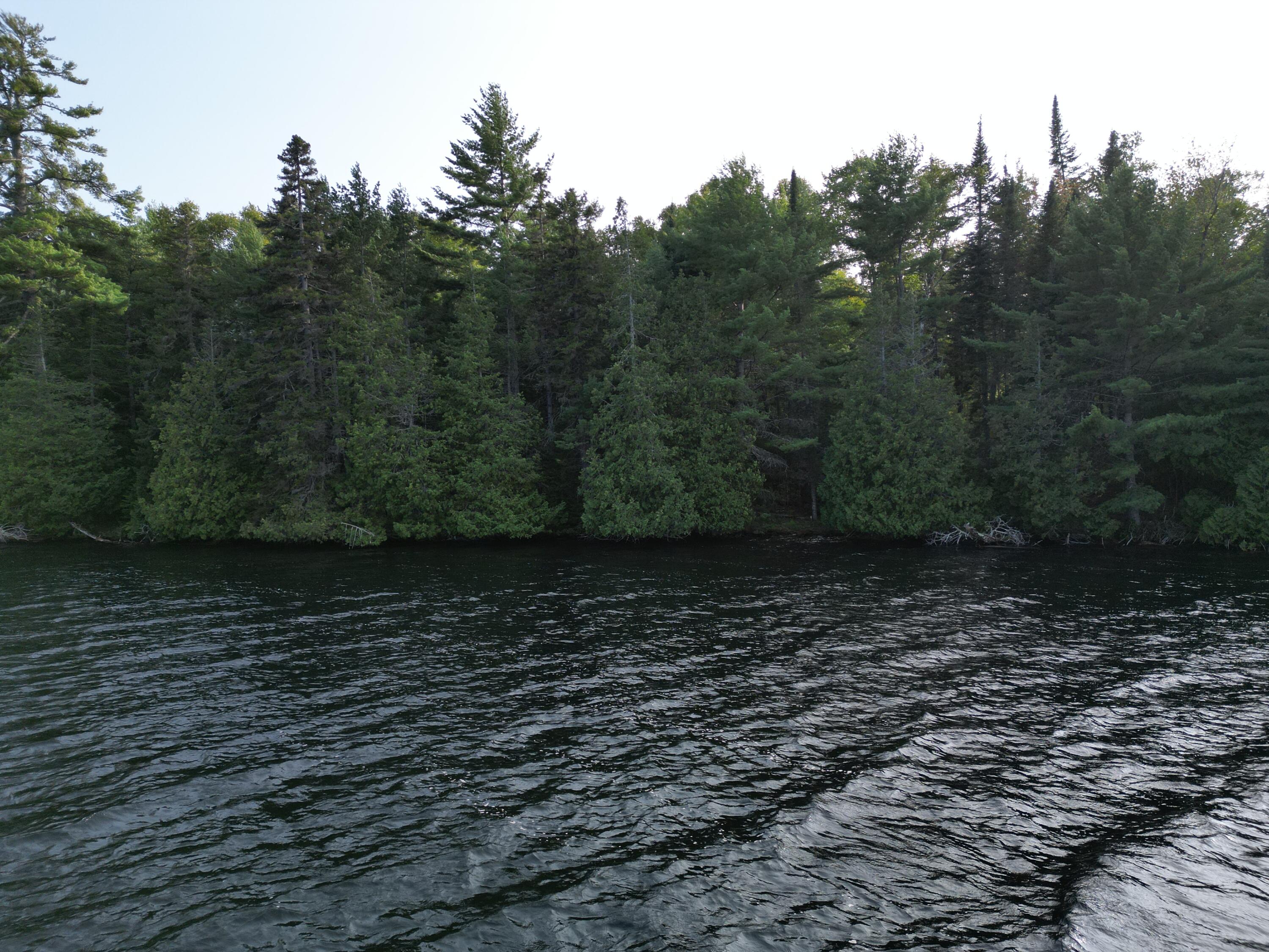 Lot 1 Off North Shore Road Property Photo 19