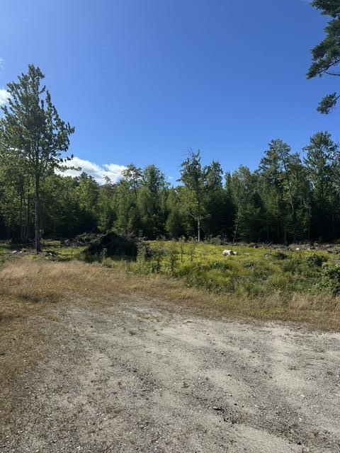 Lot 6-4 Breezy Lane Property Photo 3
