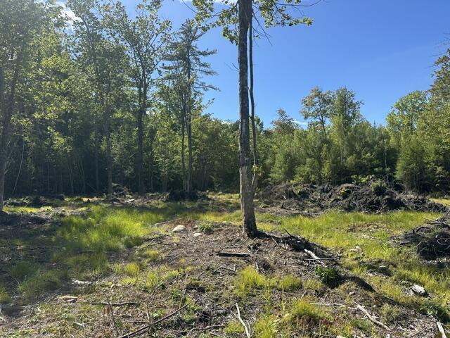 Lot 6-4 Breezy Lane Property Photo 6