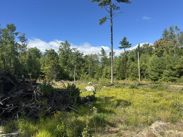 Lot 6-4 Breezy Lane Property Photo 7