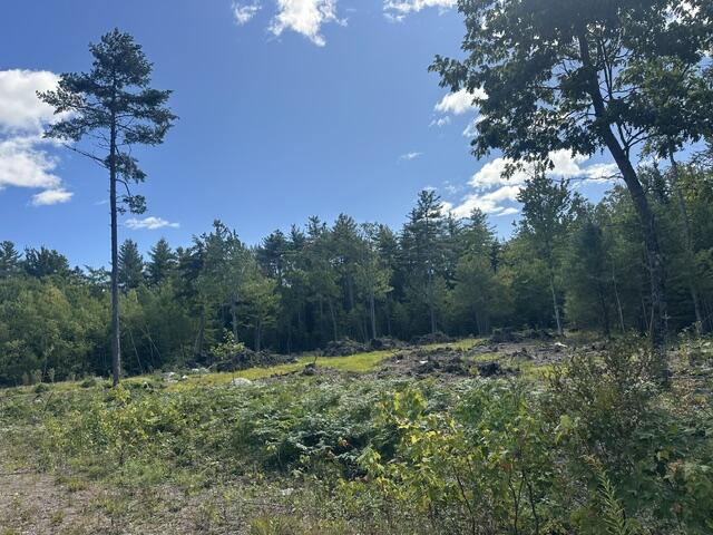 Lot 6-4 Breezy Lane Property Photo 10