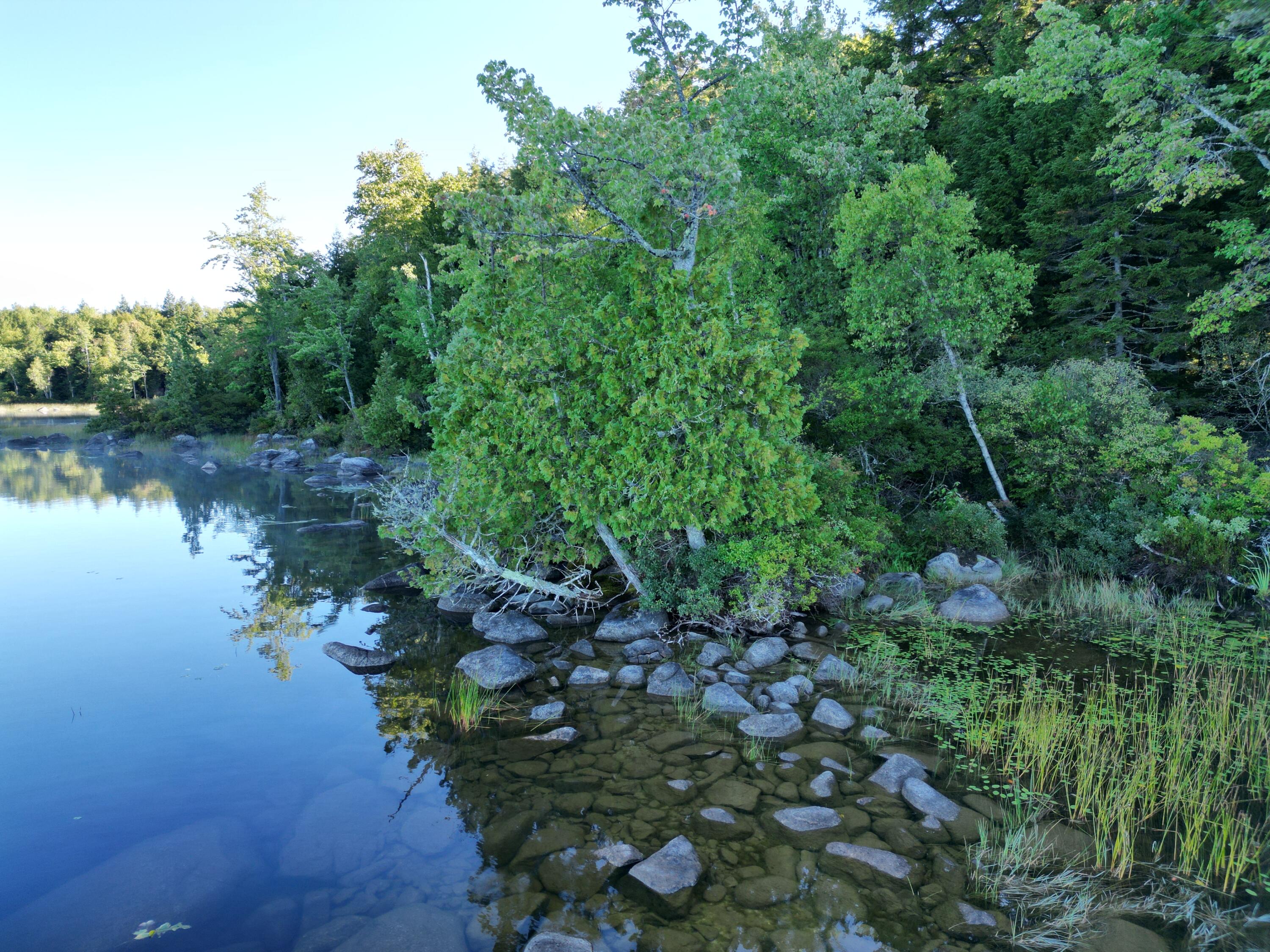 34 Merganser Lane Property Photo 2