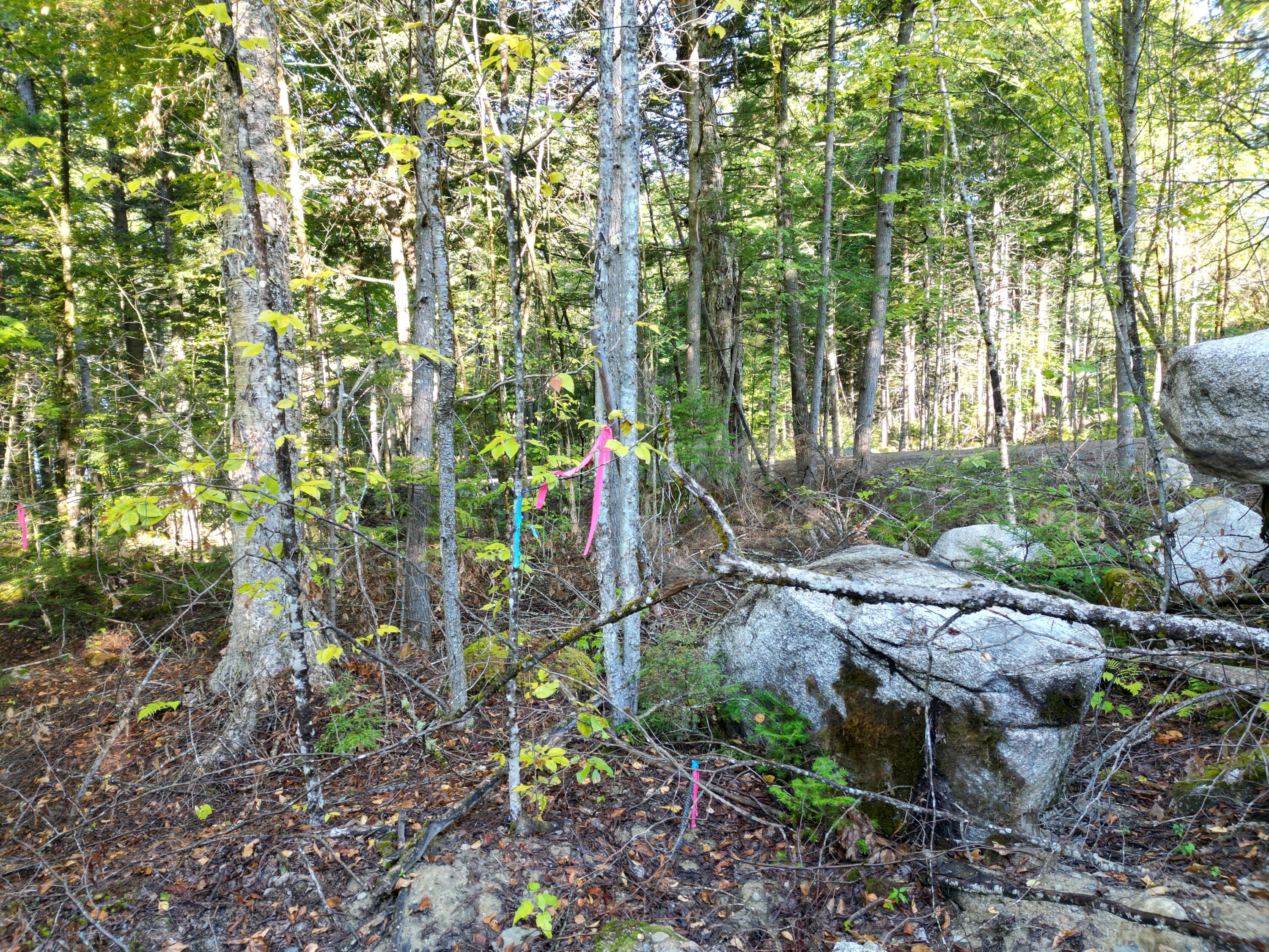 34 Merganser Lane Property Photo 9