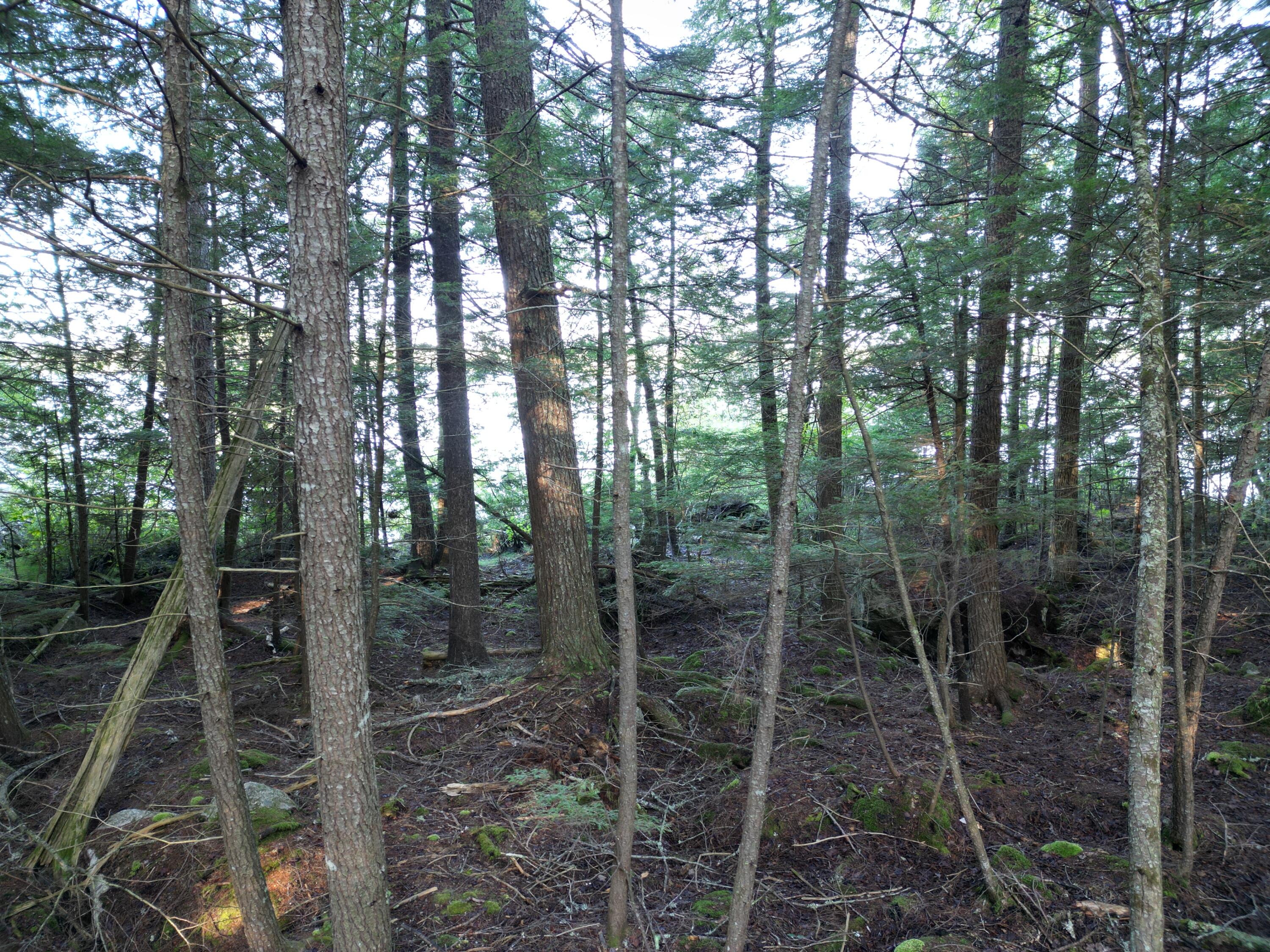 34 Merganser Lane Property Photo 14