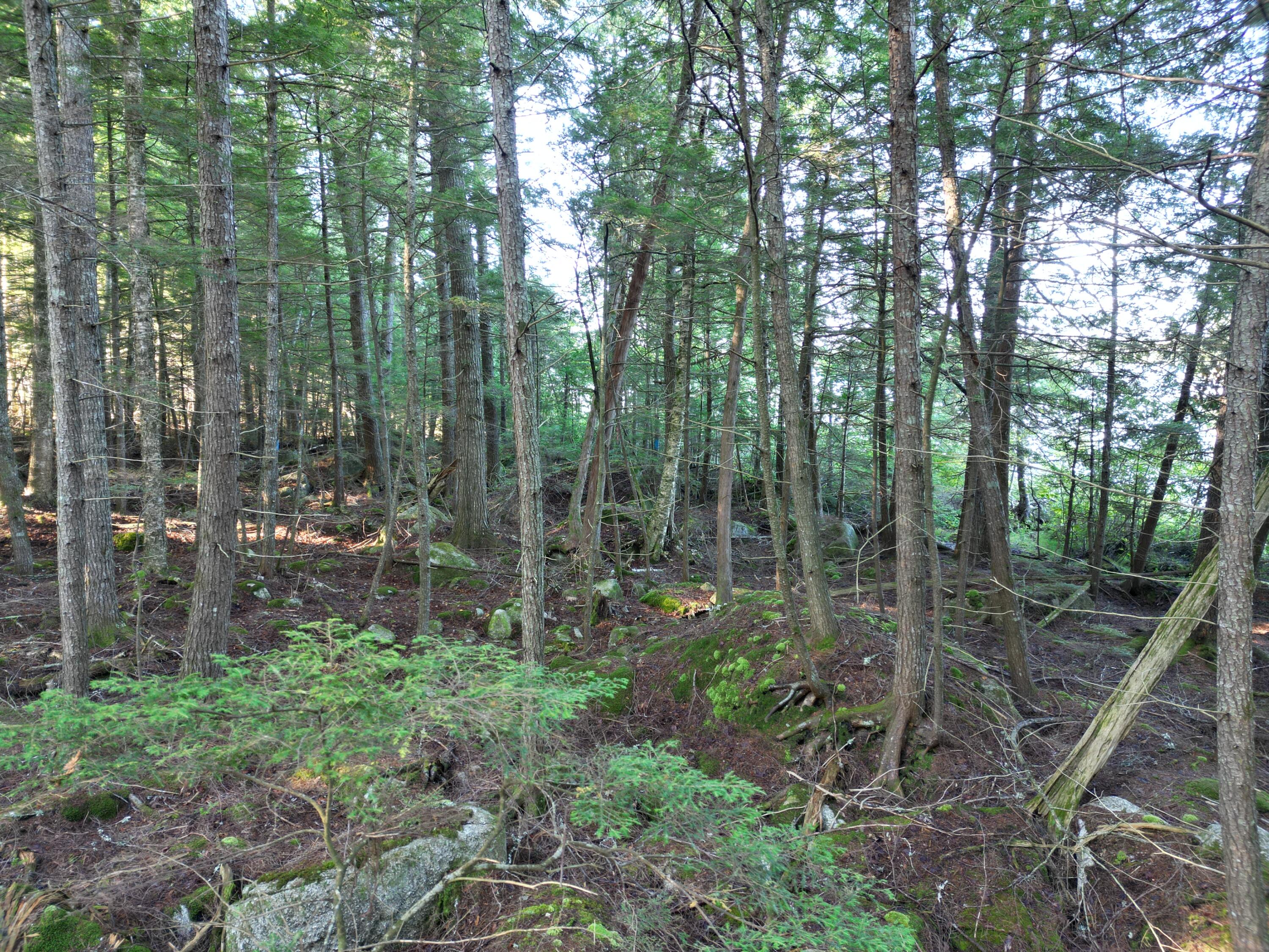34 Merganser Lane Property Photo 15