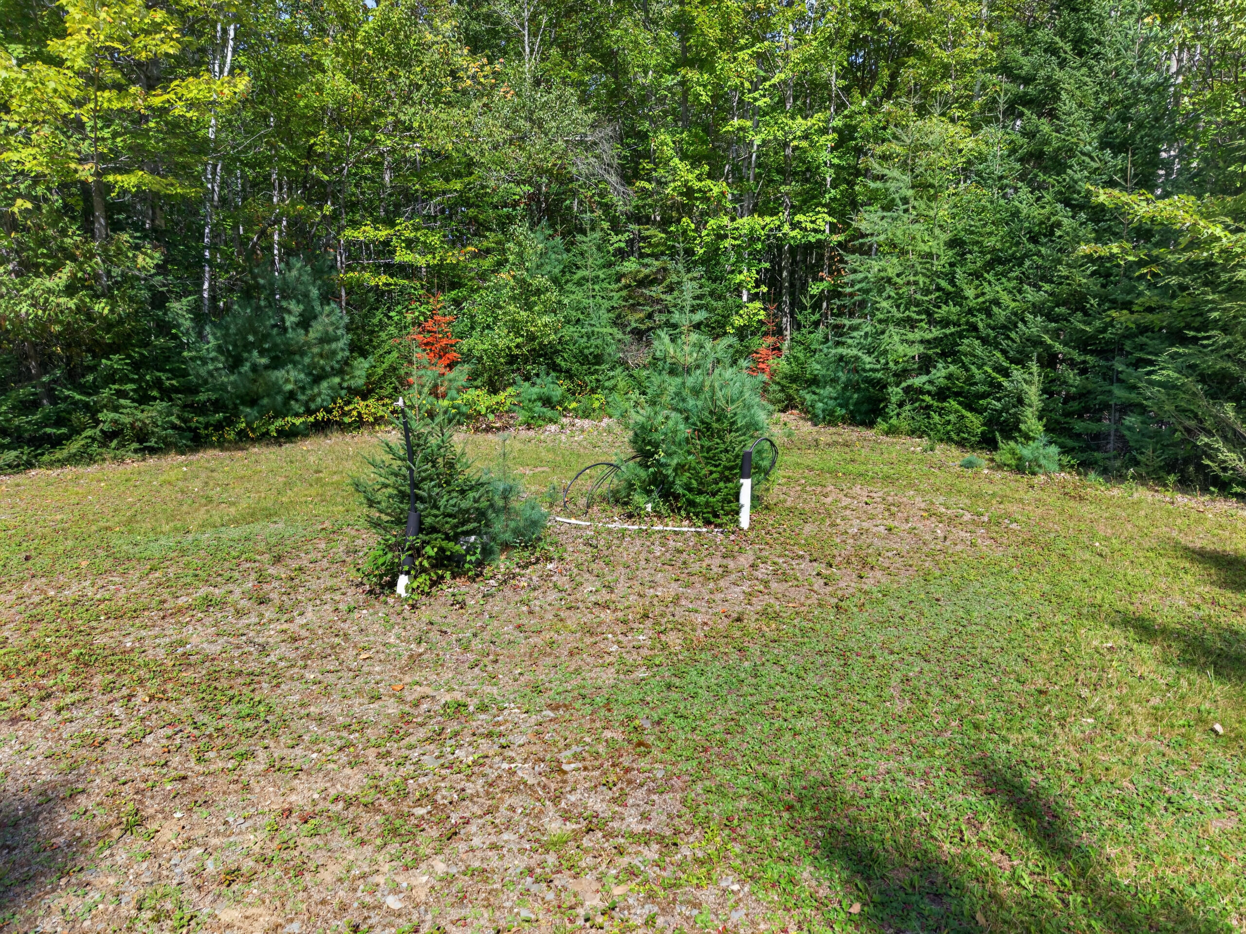 14 Skidgel Road Property Photo 17