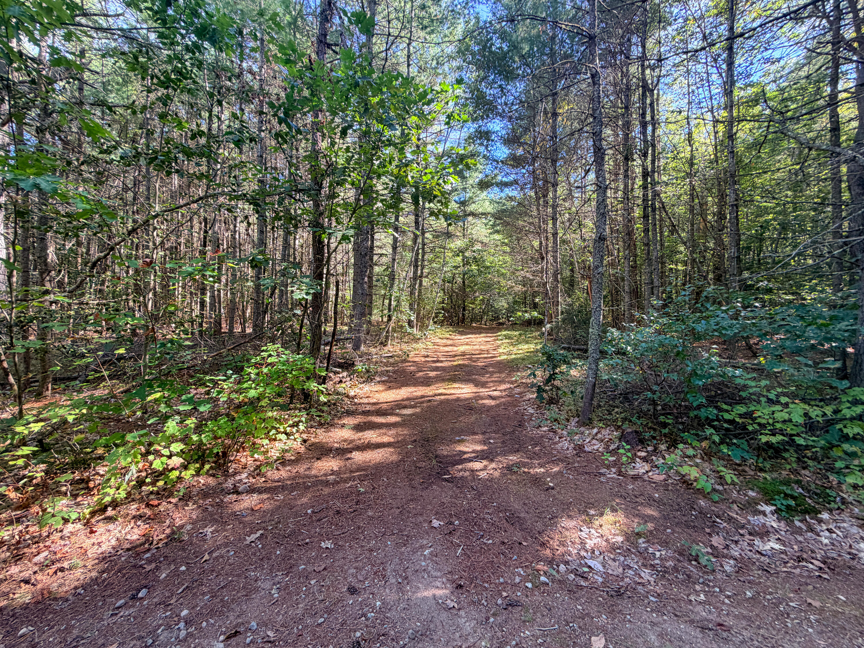 Lot 5 Laroche Drive Property Photo 2