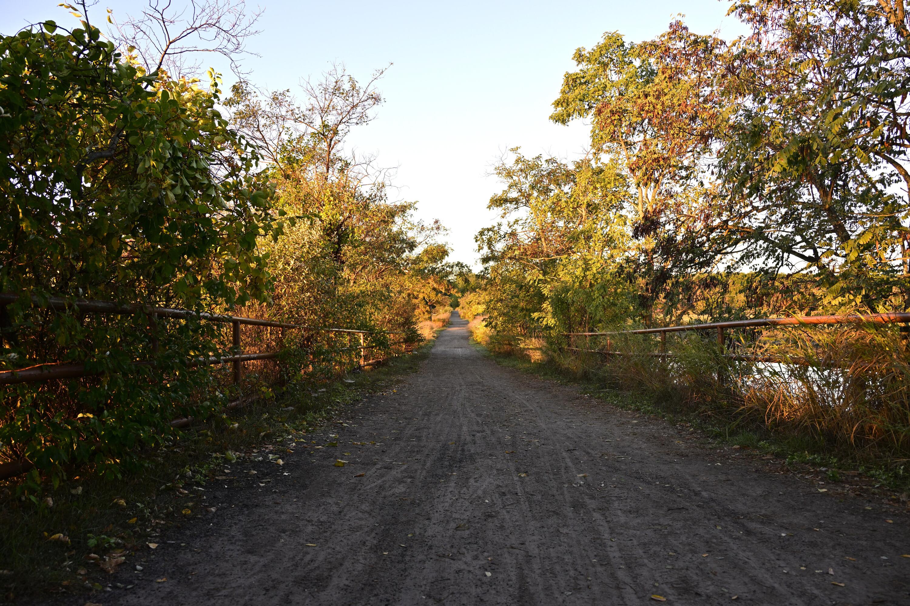 20 Winnocks Neck Road Property Photo 58