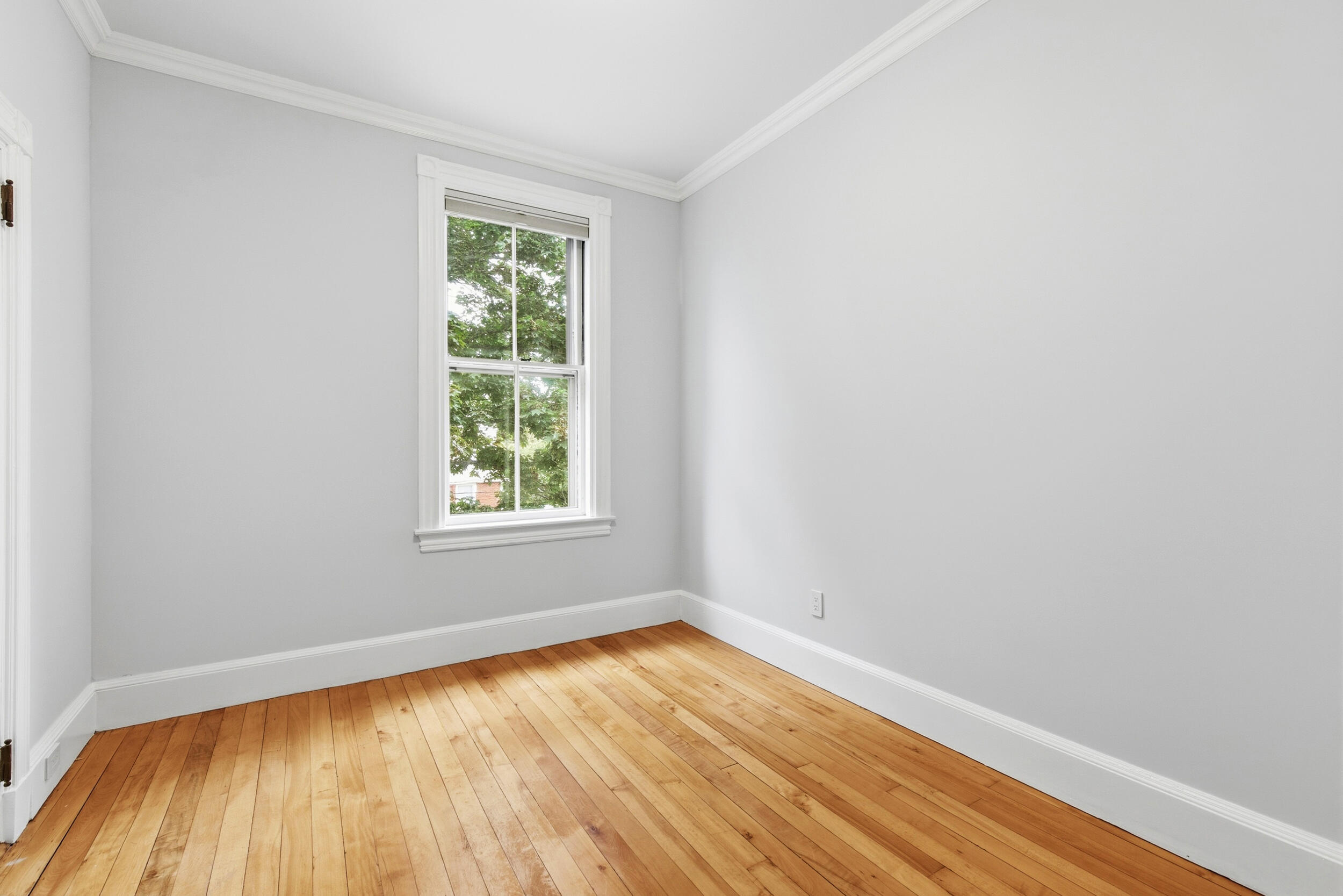 187 Vaughan Street 2 Property Photo 31