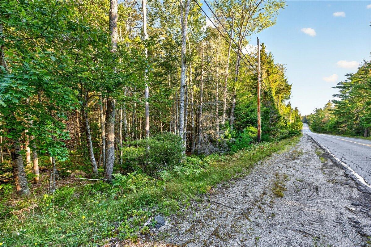 Tbd Pretty Marsh Road Property Photo 2
