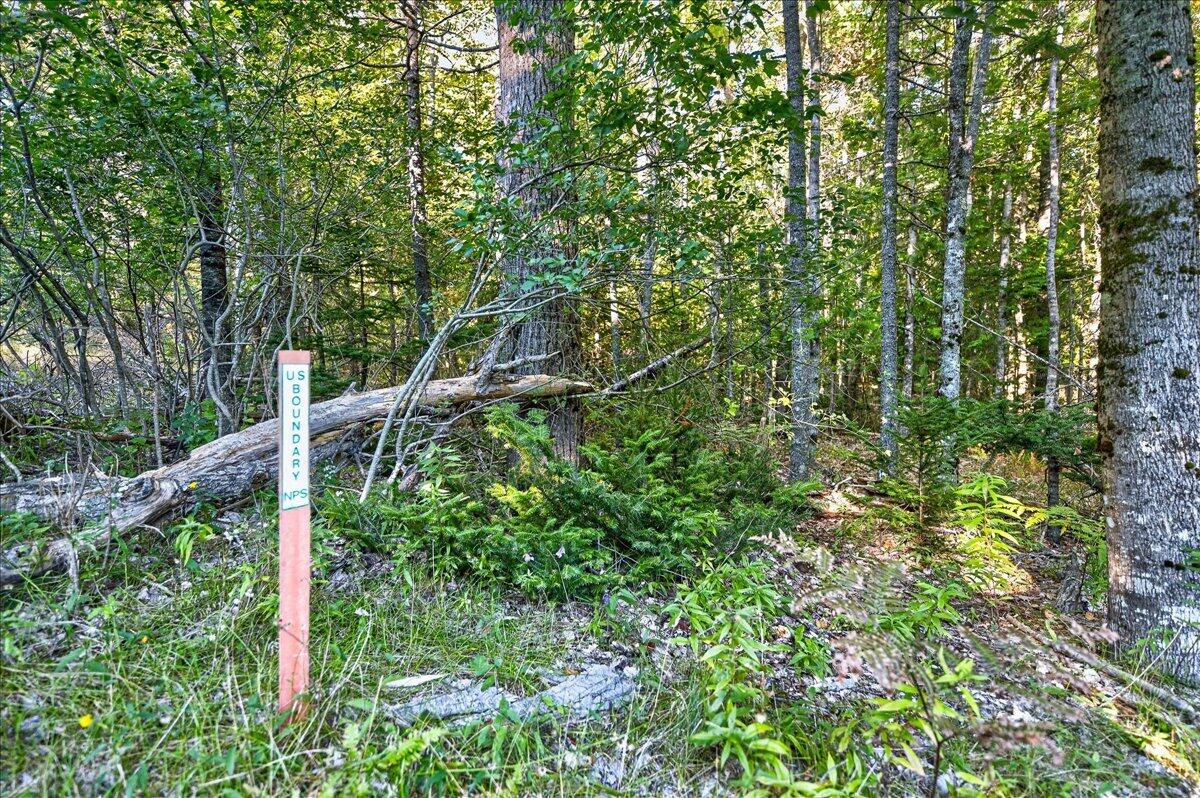 Tbd Pretty Marsh Road Property Photo 3